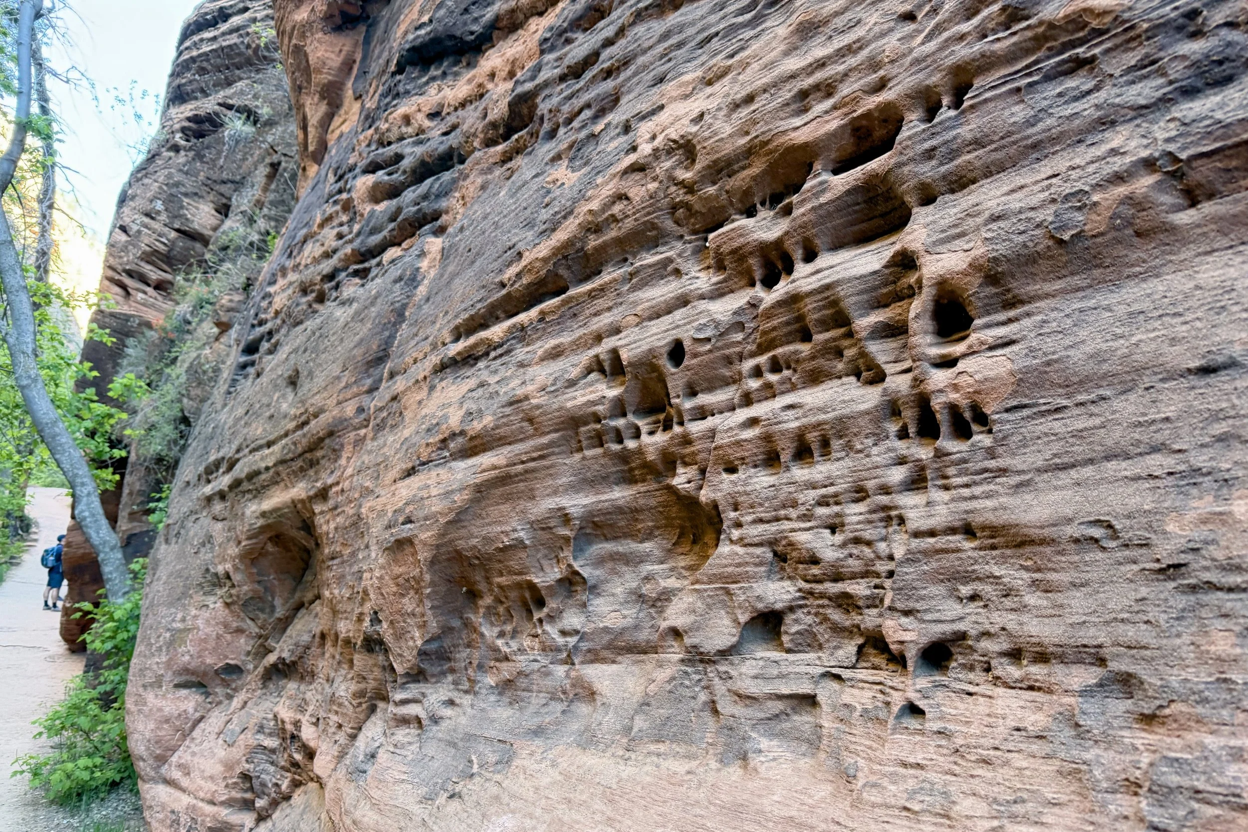 Refrigerator Canyon