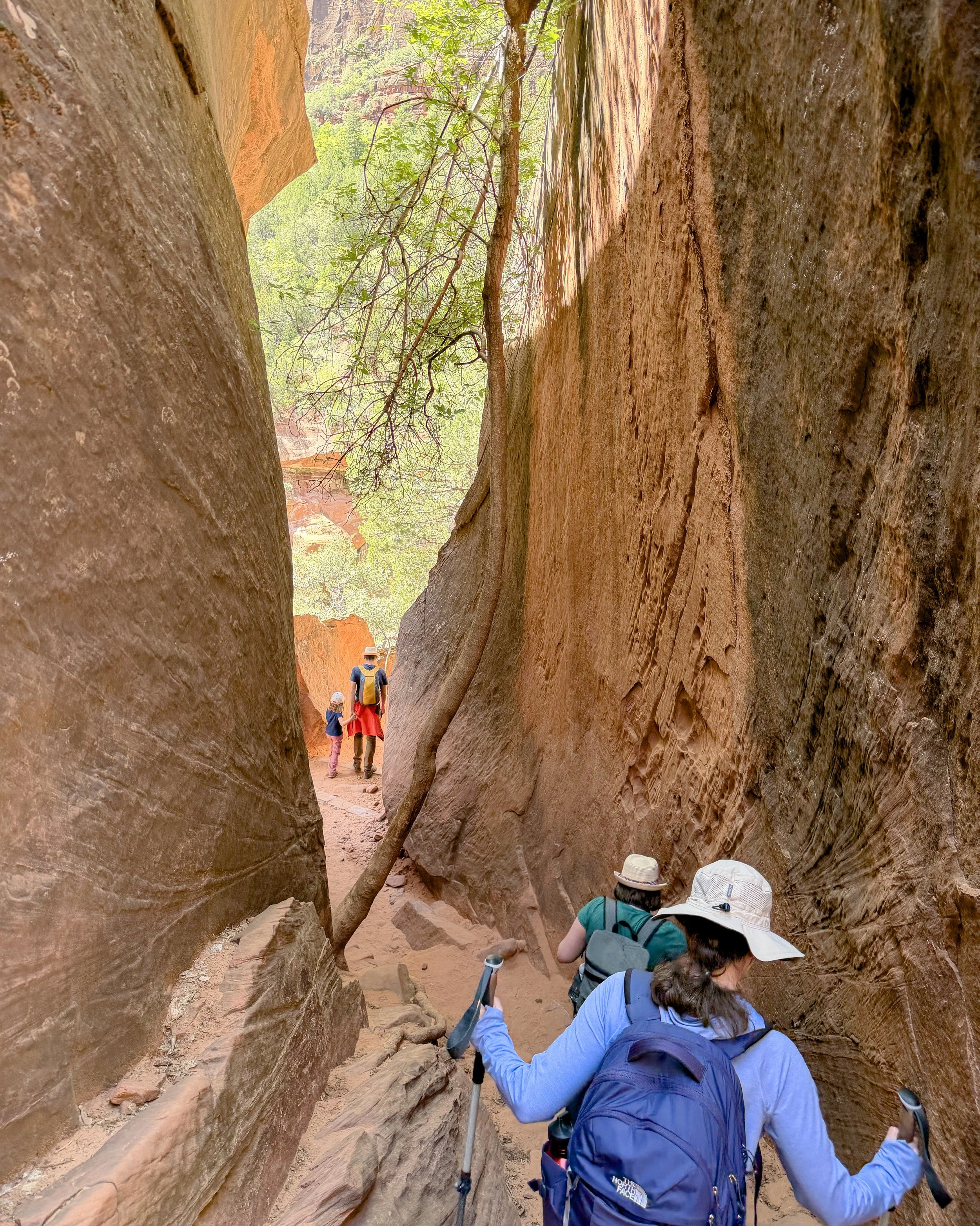Middle Emerald Pool Trail