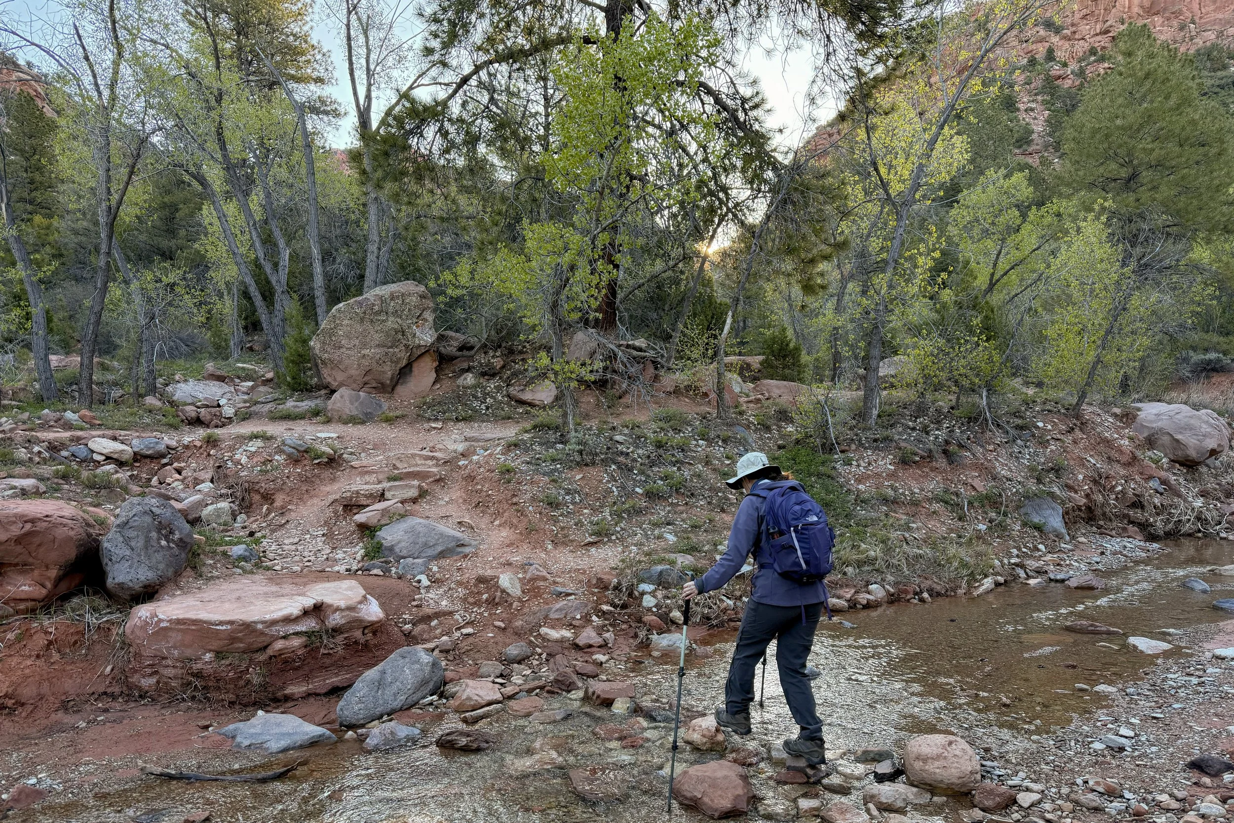 Crossing Taylor Creek