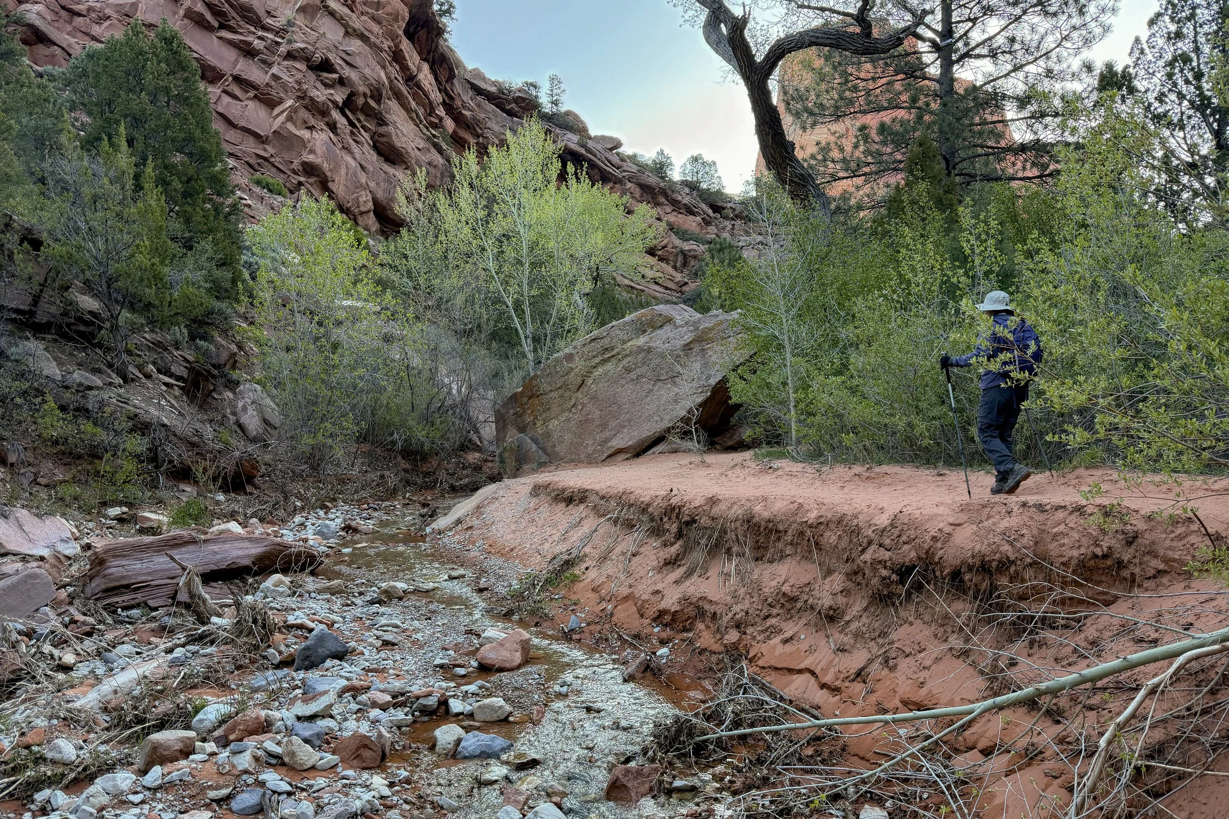Hiking along Taylor Creek Trail