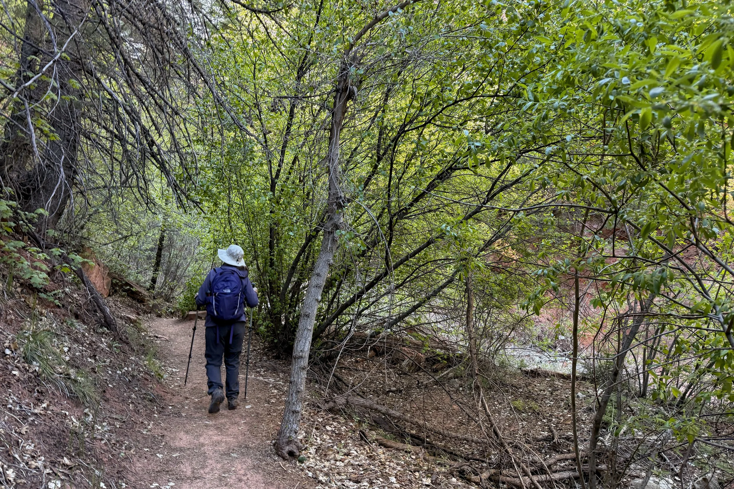 Taylor Creek Trail
