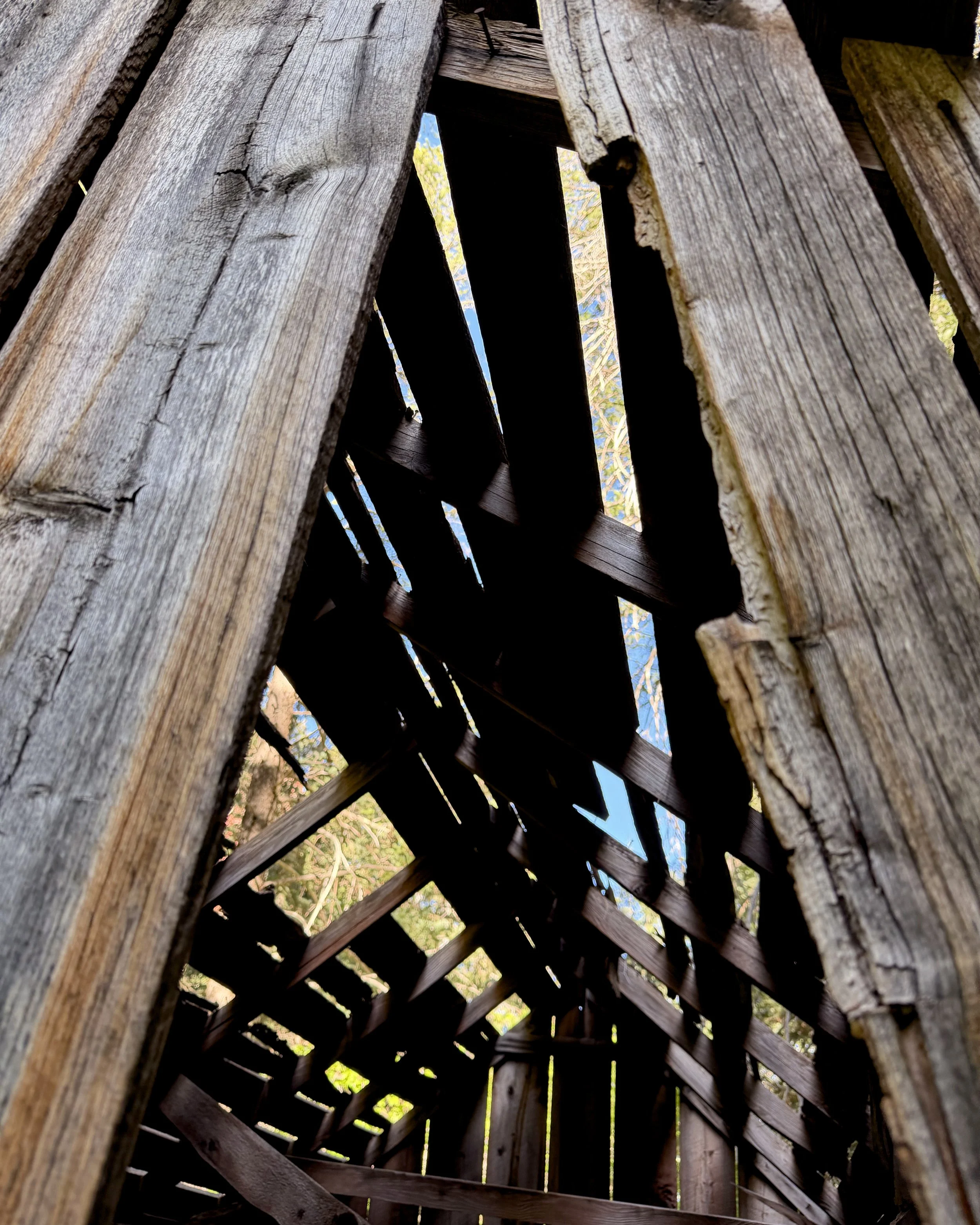 Fife Cabin