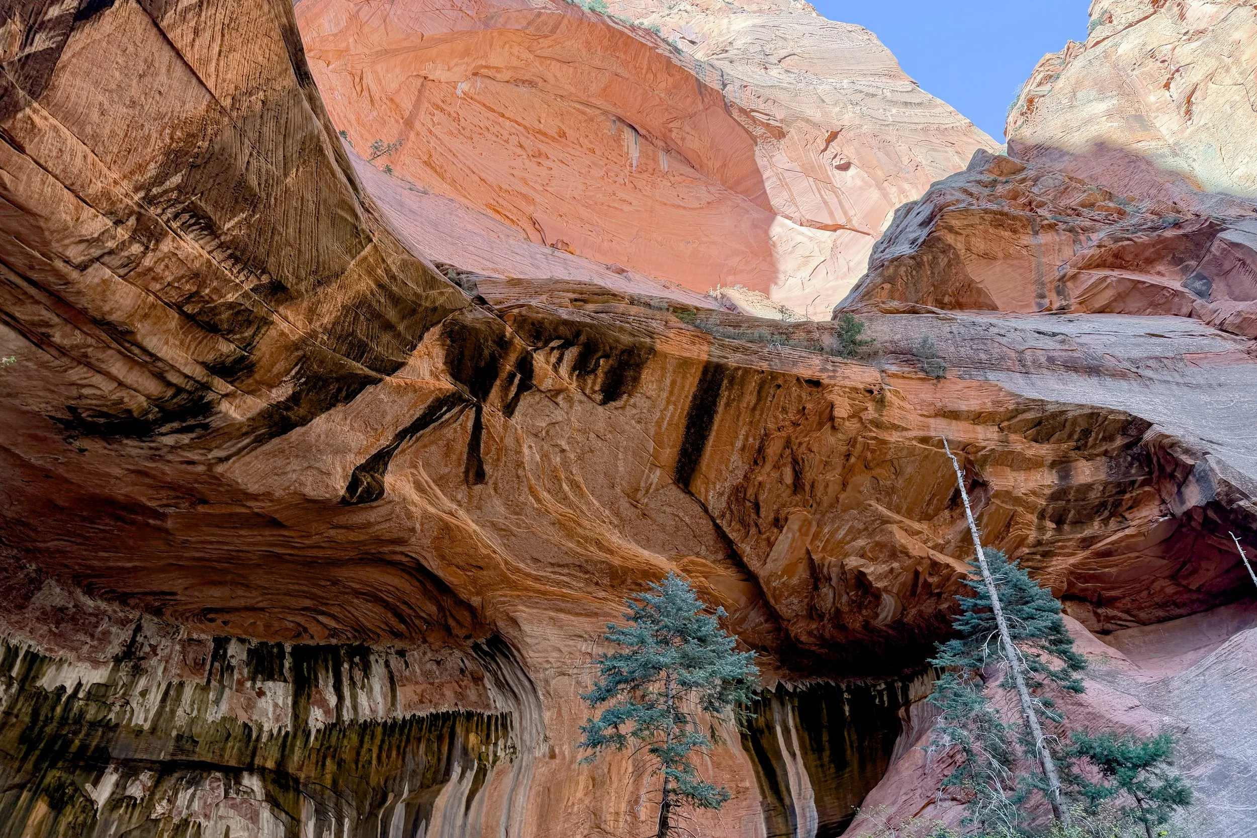 Double Arch Alcove