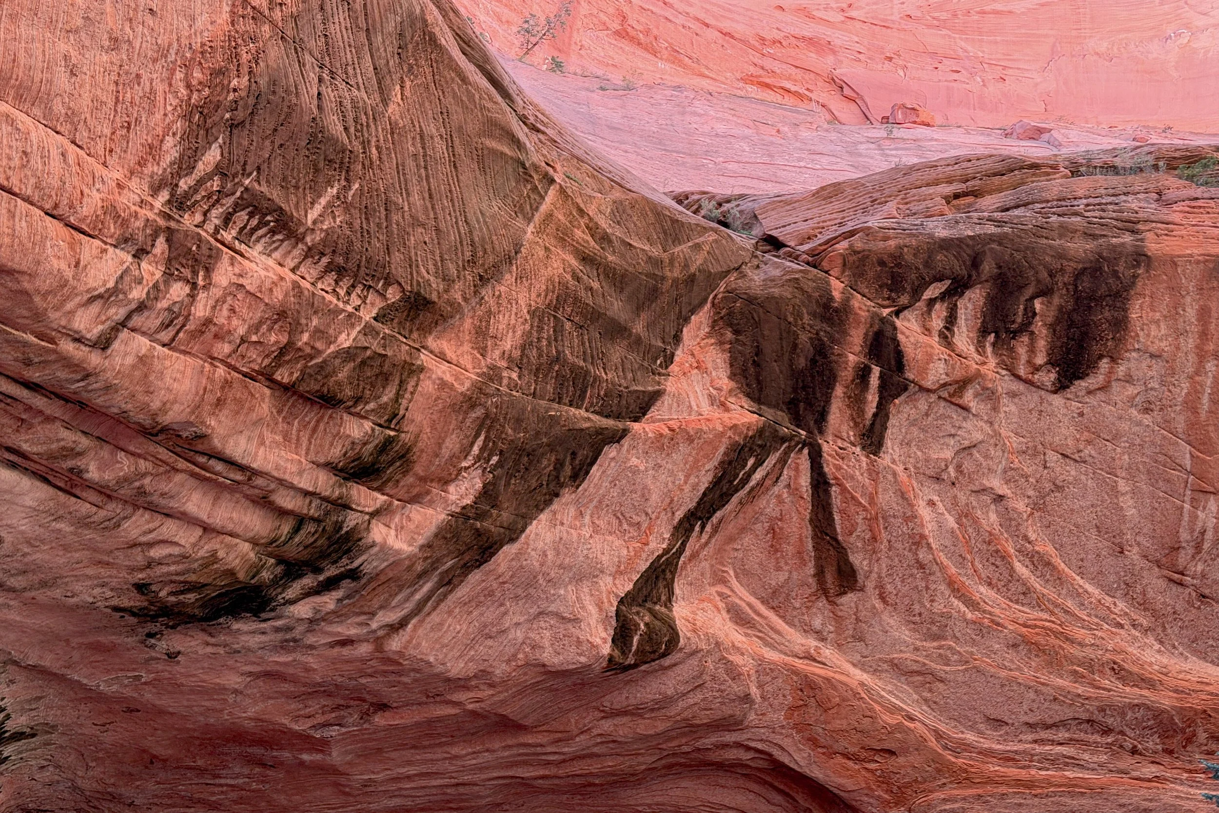 Double Arch Alcove