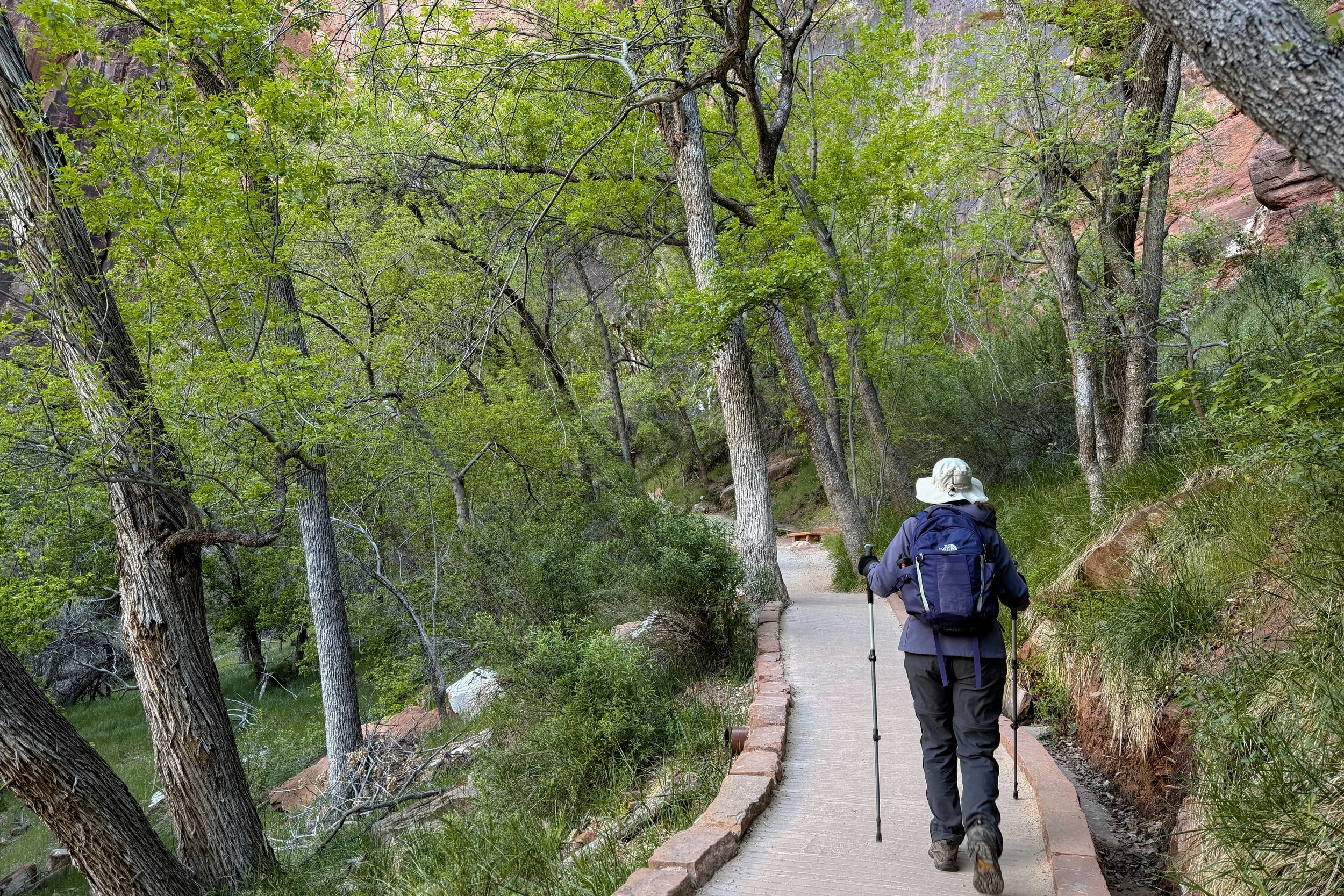 Weeping Rock path