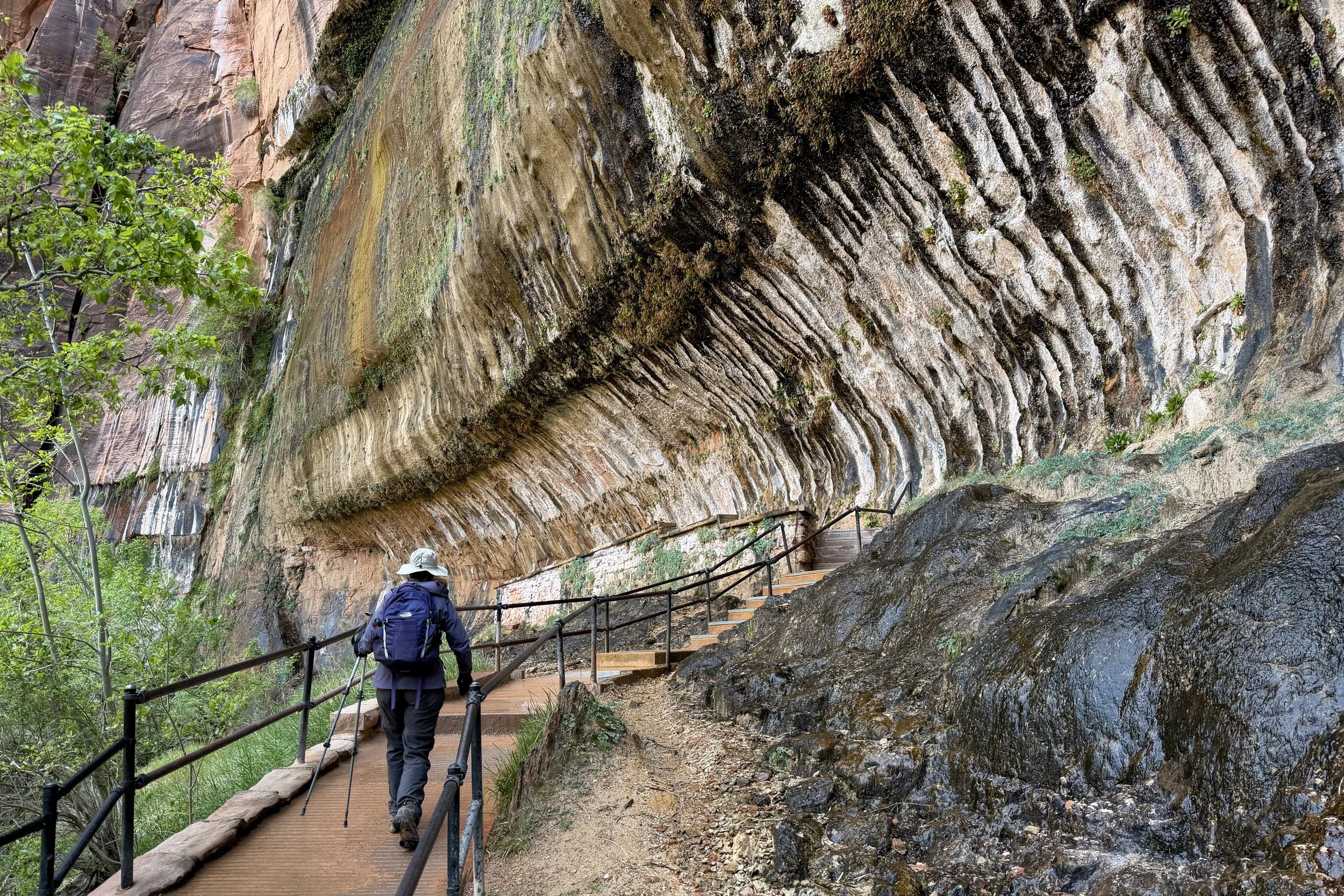 Weeping Rock