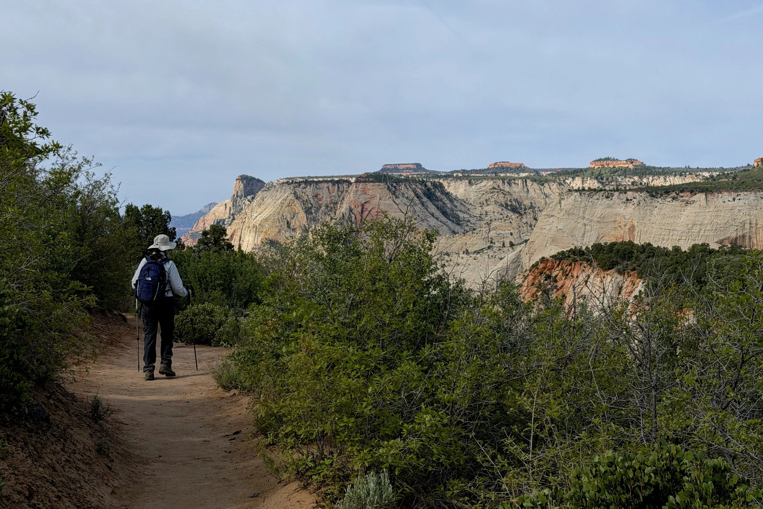 Observation Point