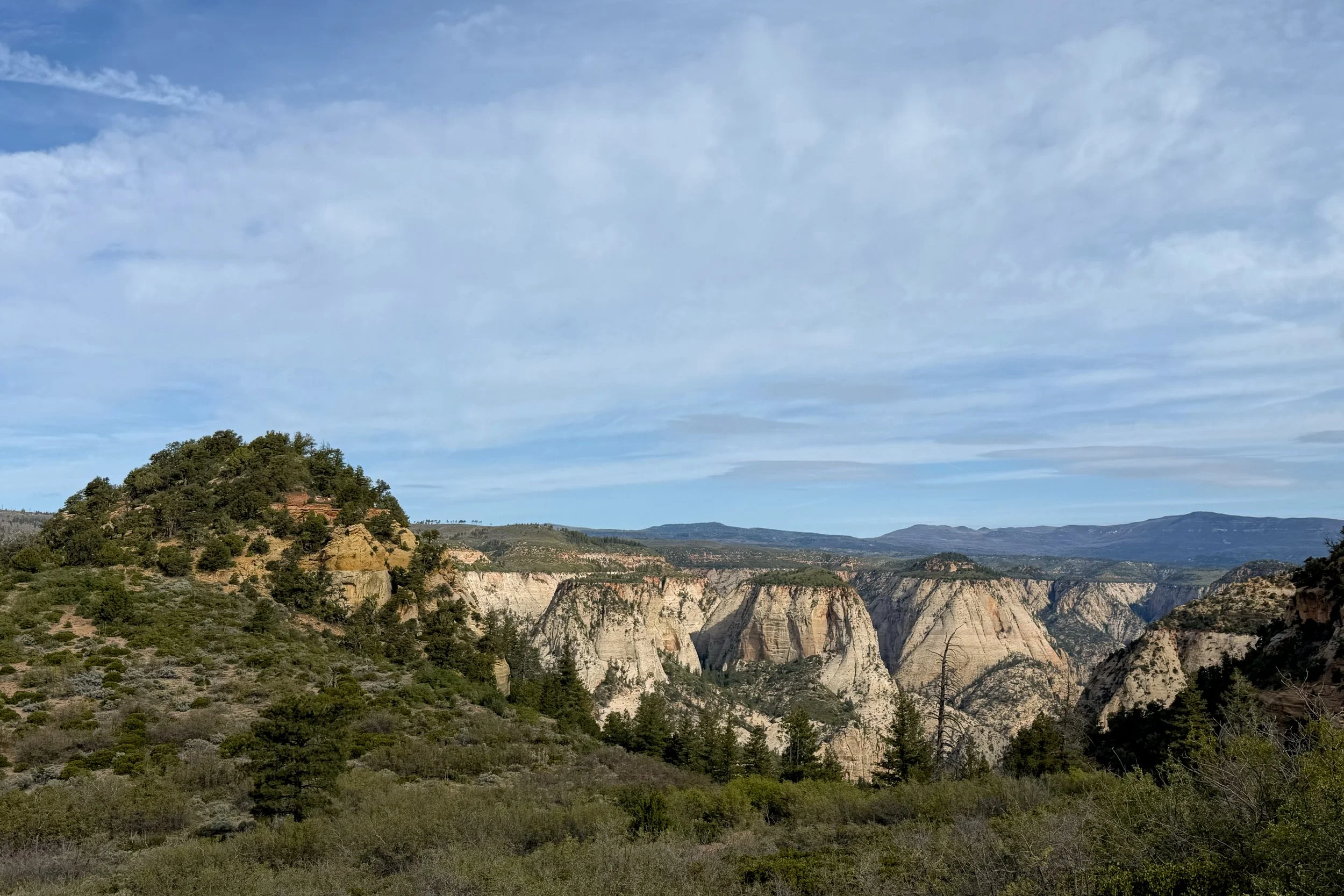 Observation Point