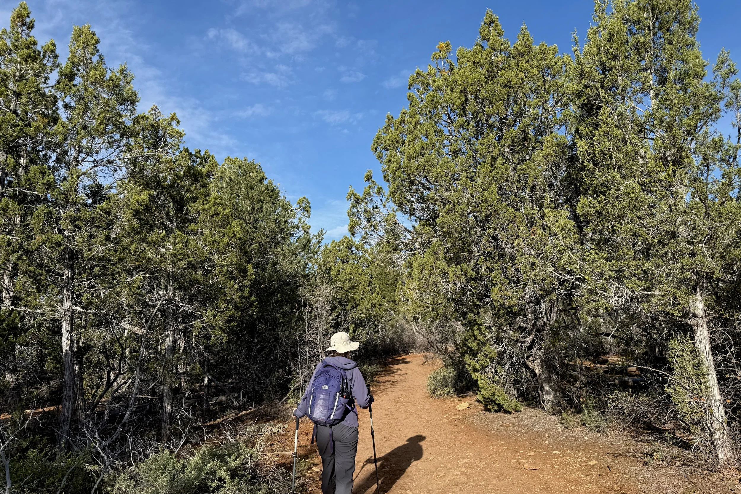 East Mesa Trail
