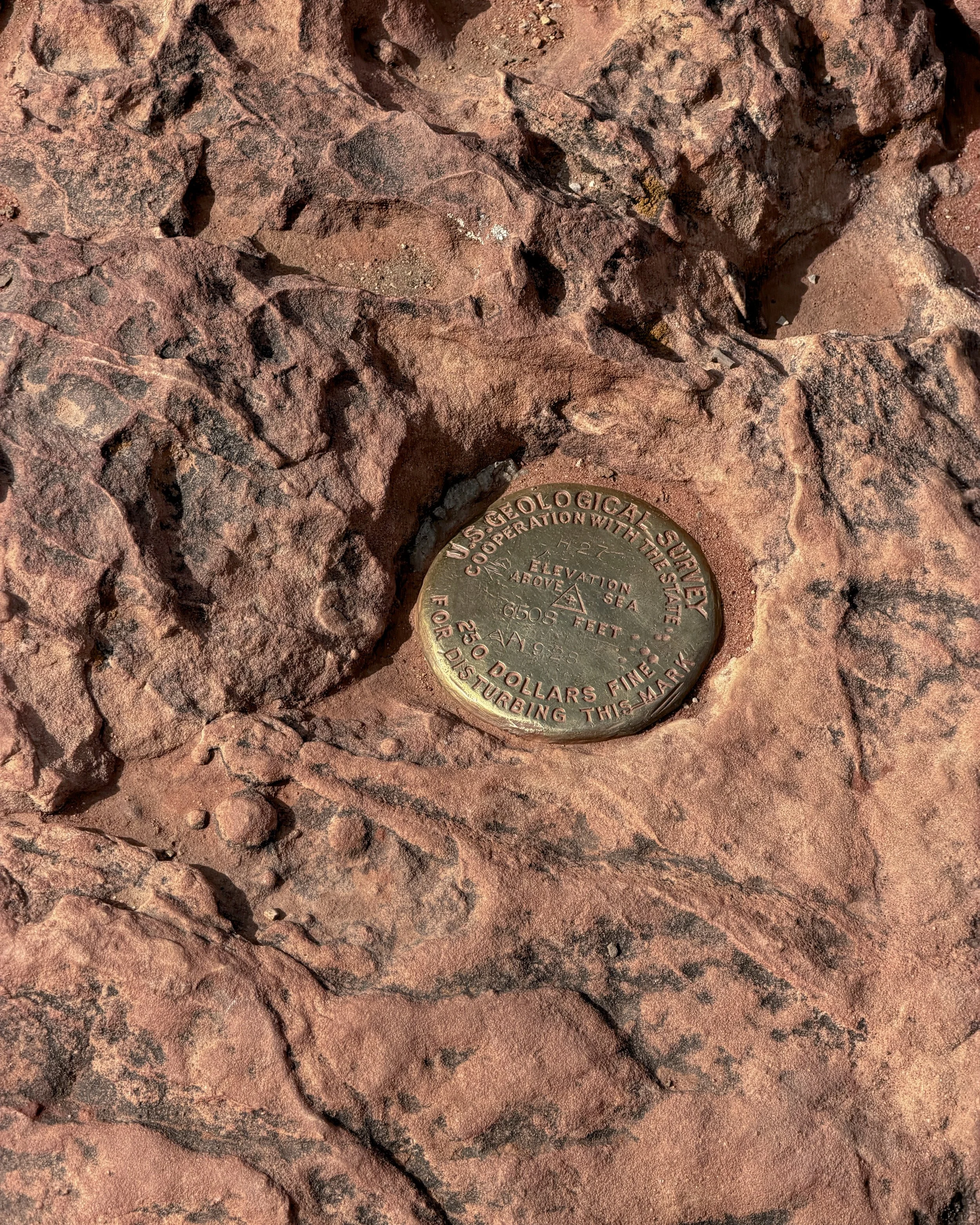 Elevation marker
