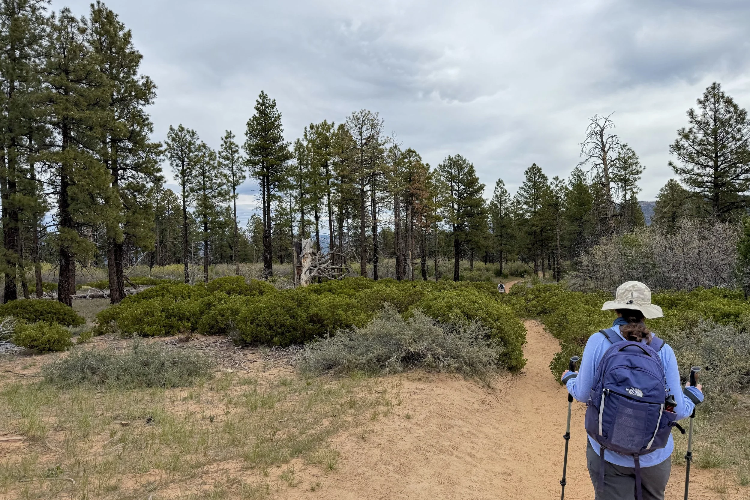 East Mesa Trail