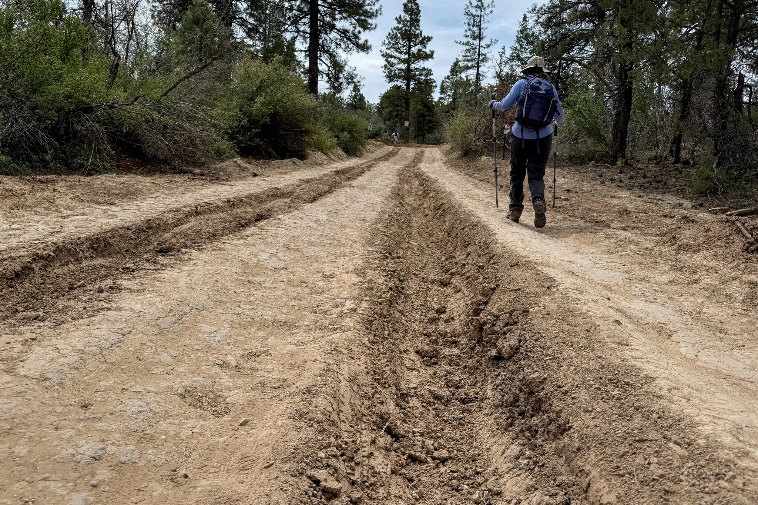 Ruts in road