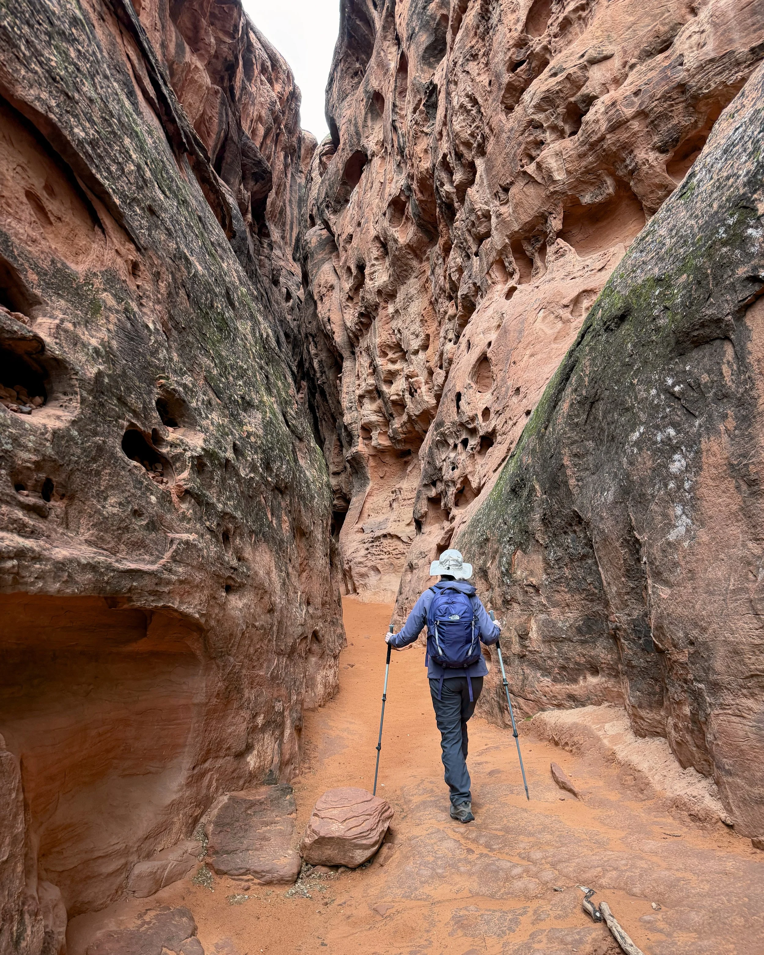 Jenny's Canyon