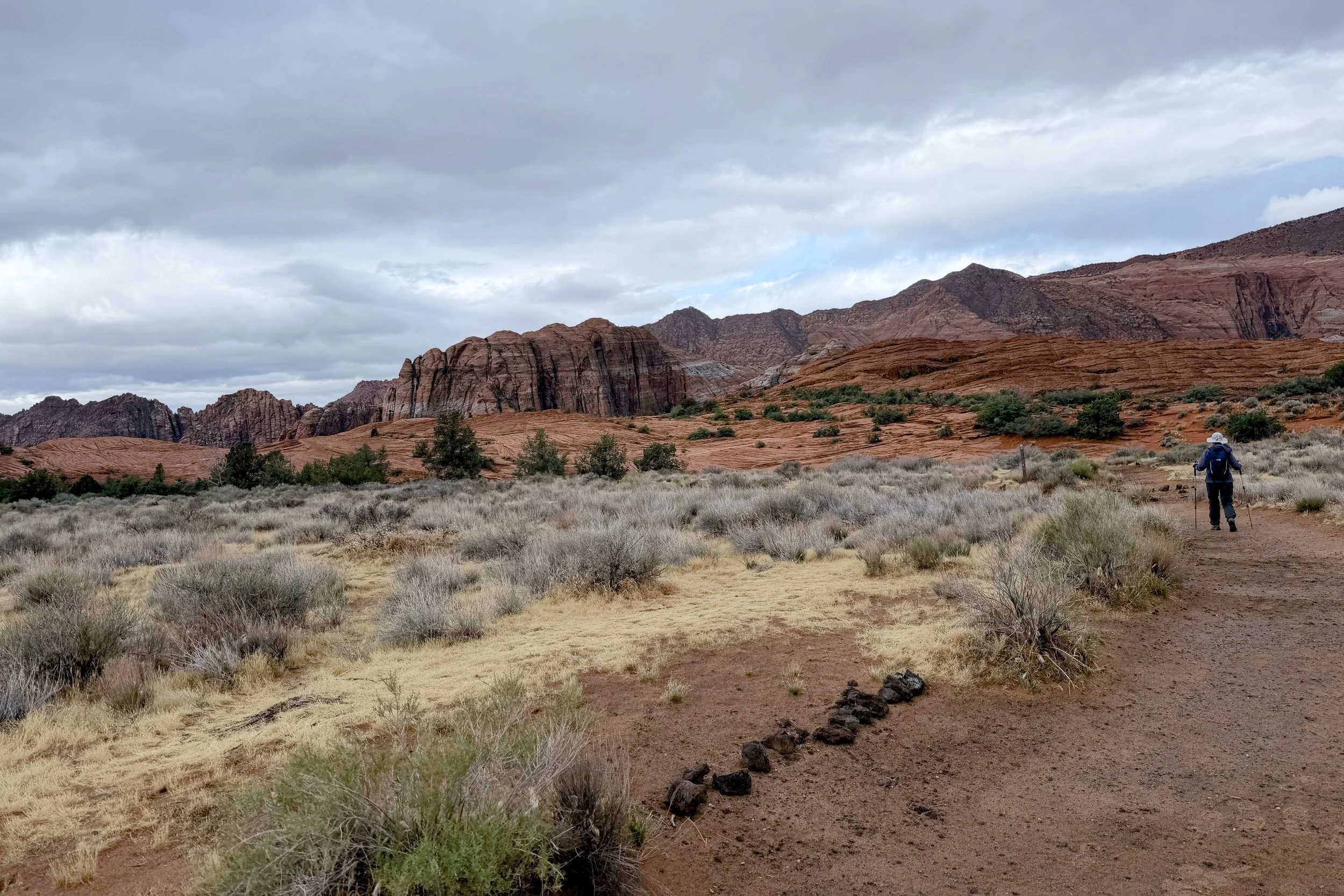 Petrified Dunes trail