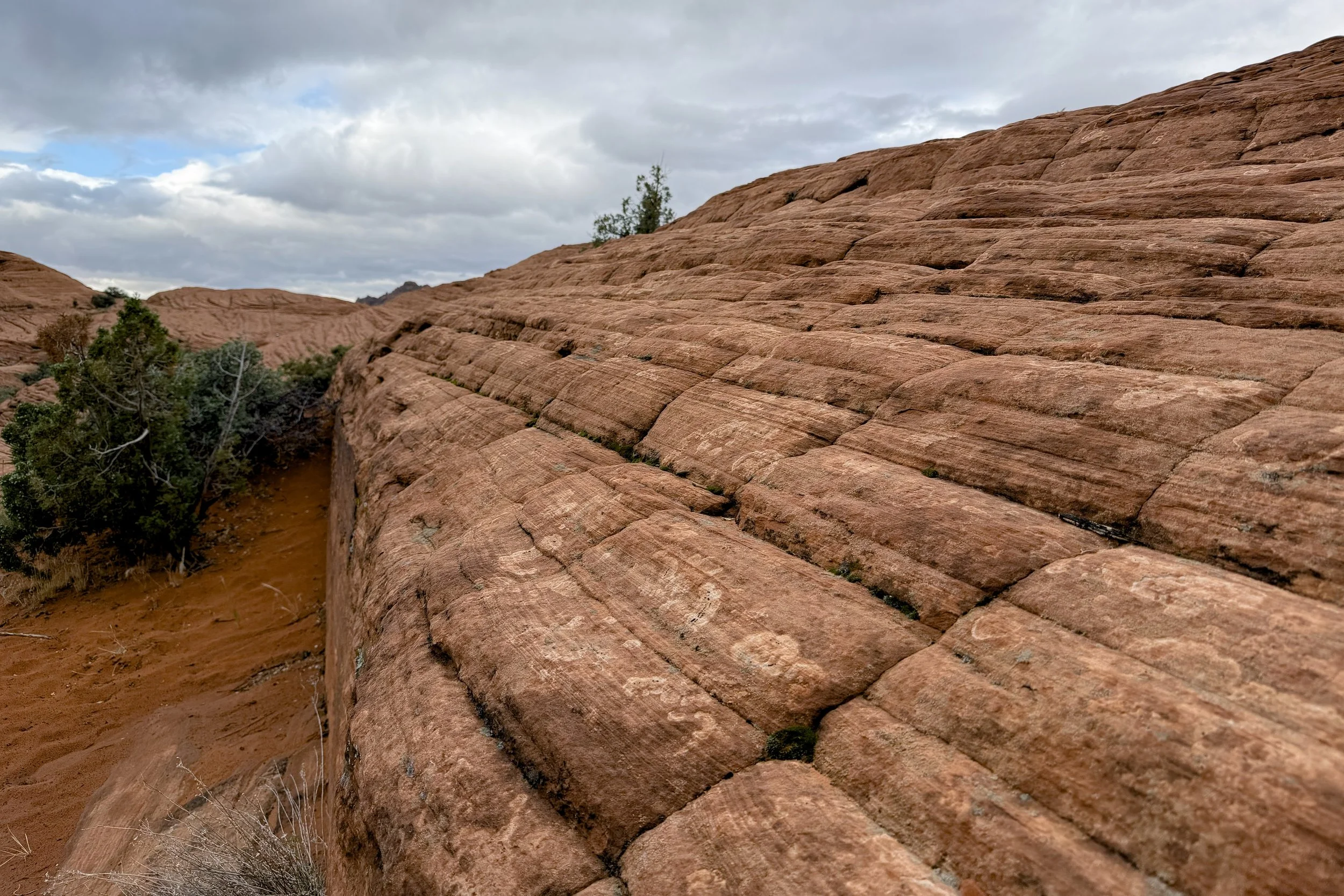 Petrified Dunes