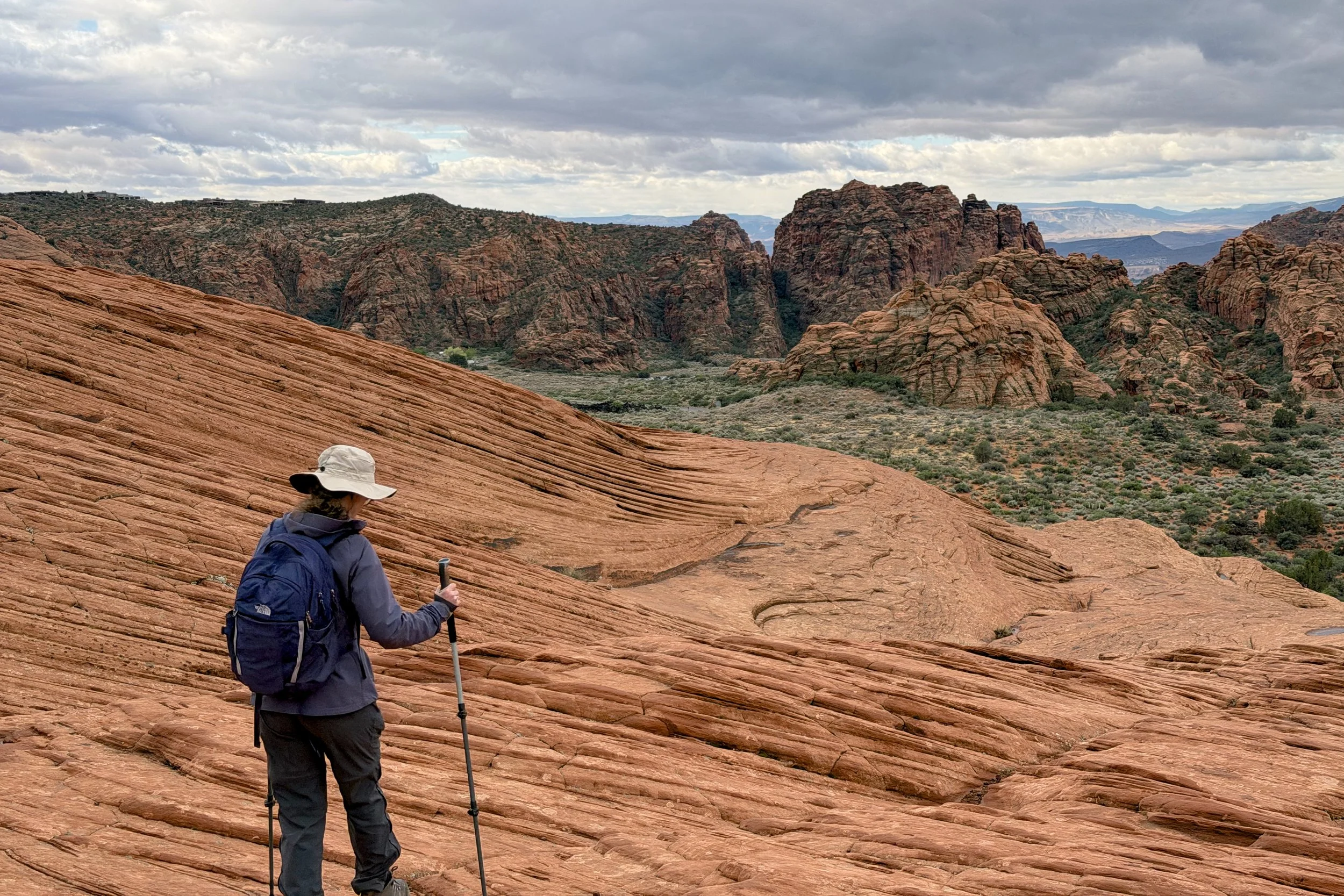 Petrified Dunes