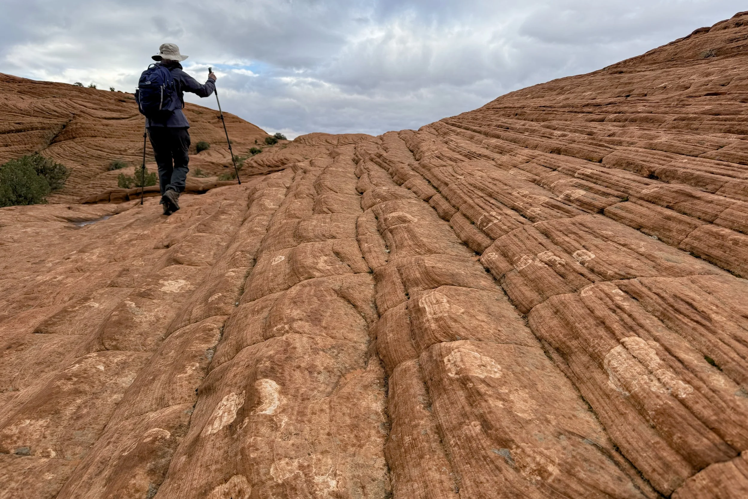 Petrified Dunes