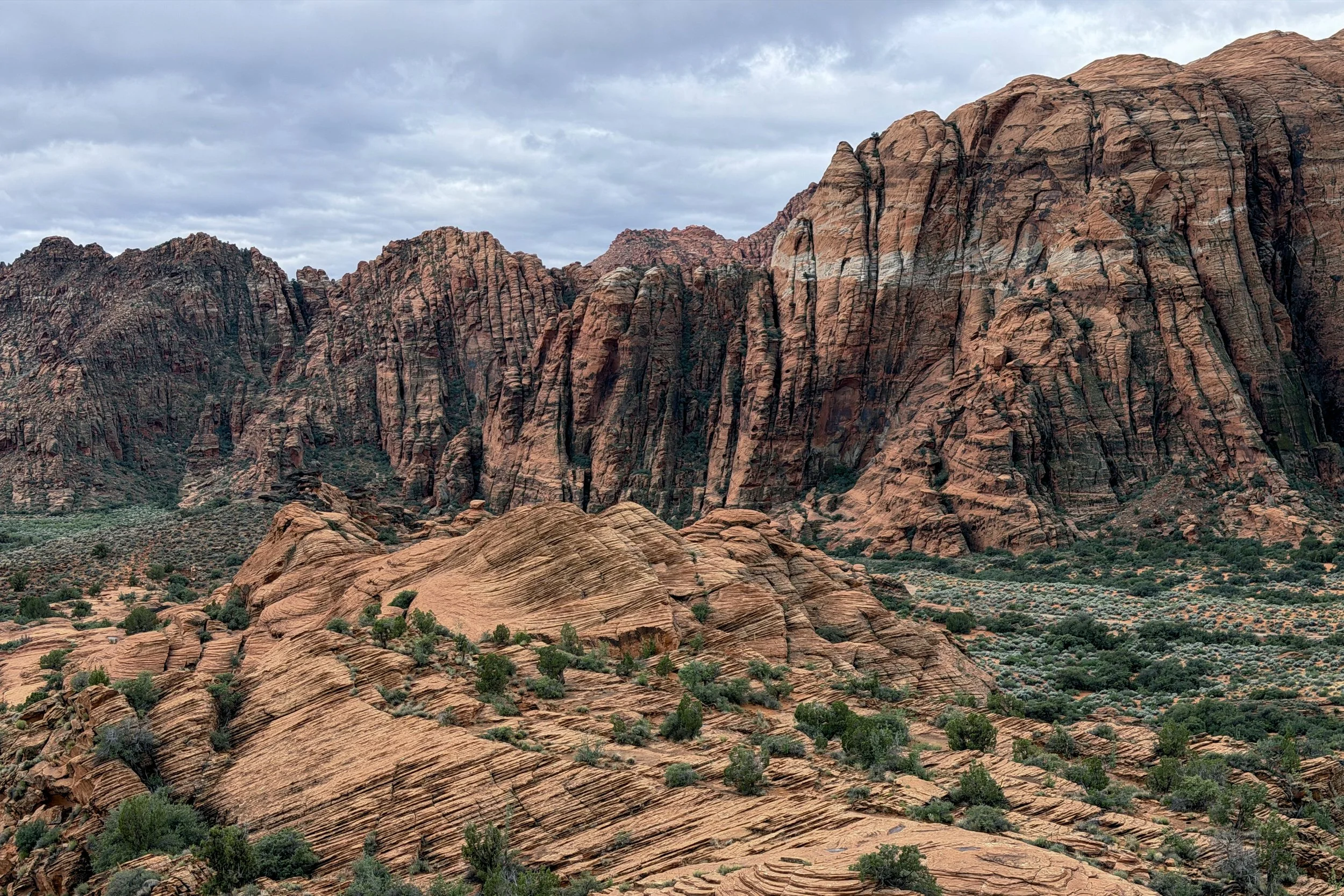 Petrified Dunes