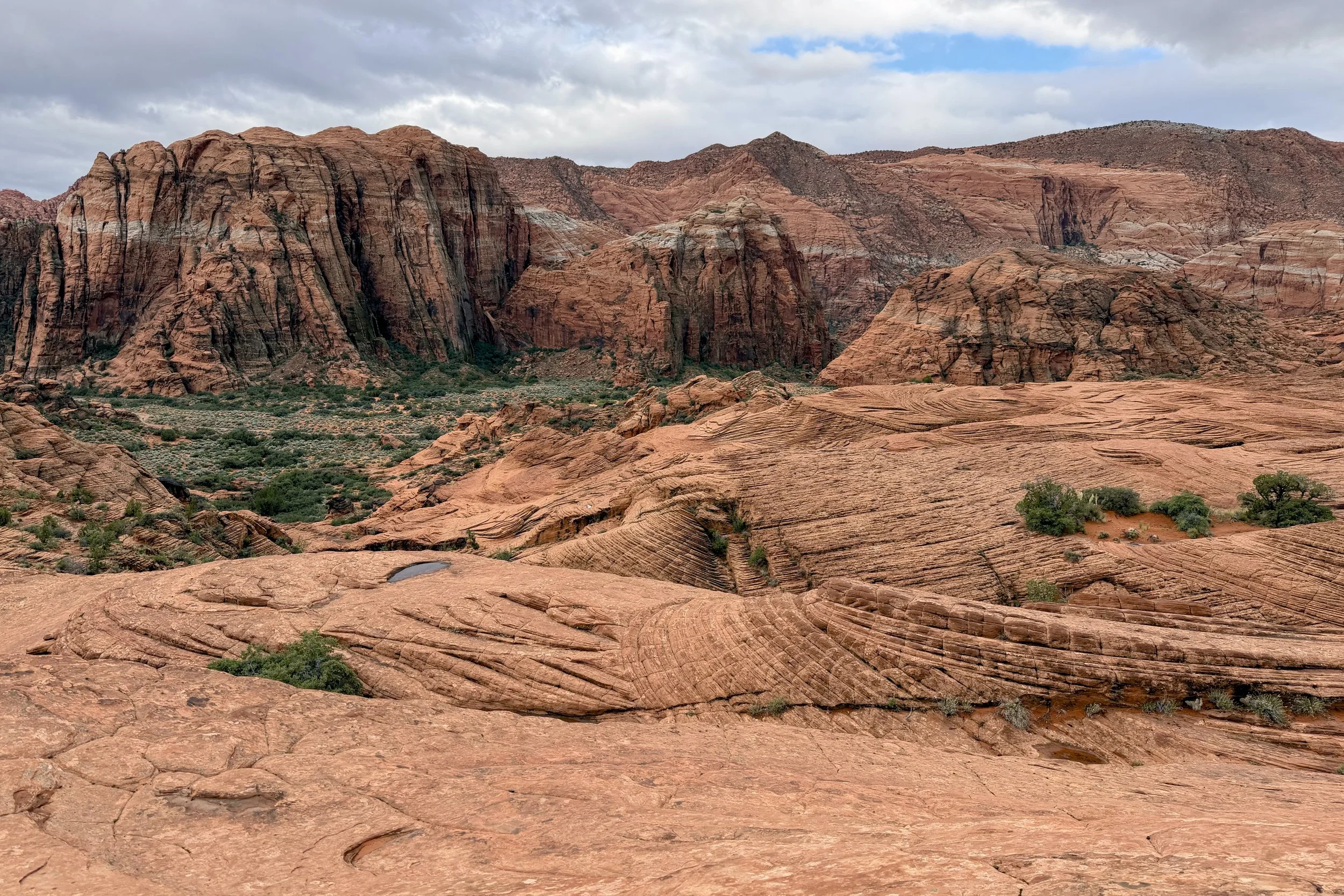 Petrified Dunes
