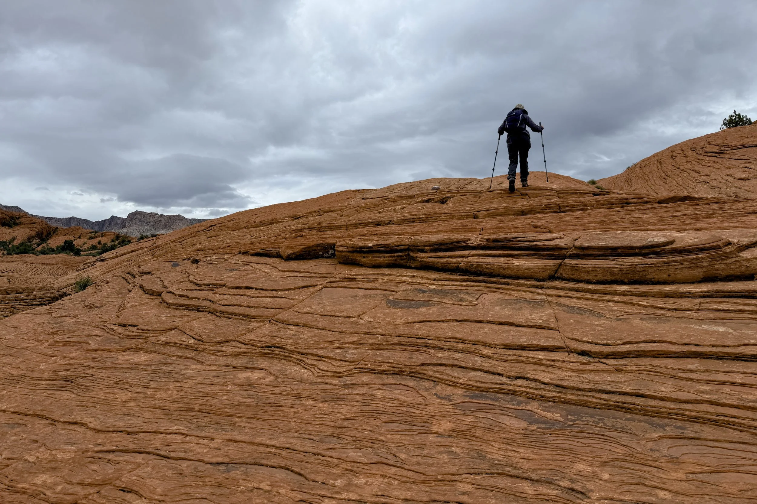 Petrified Dunes