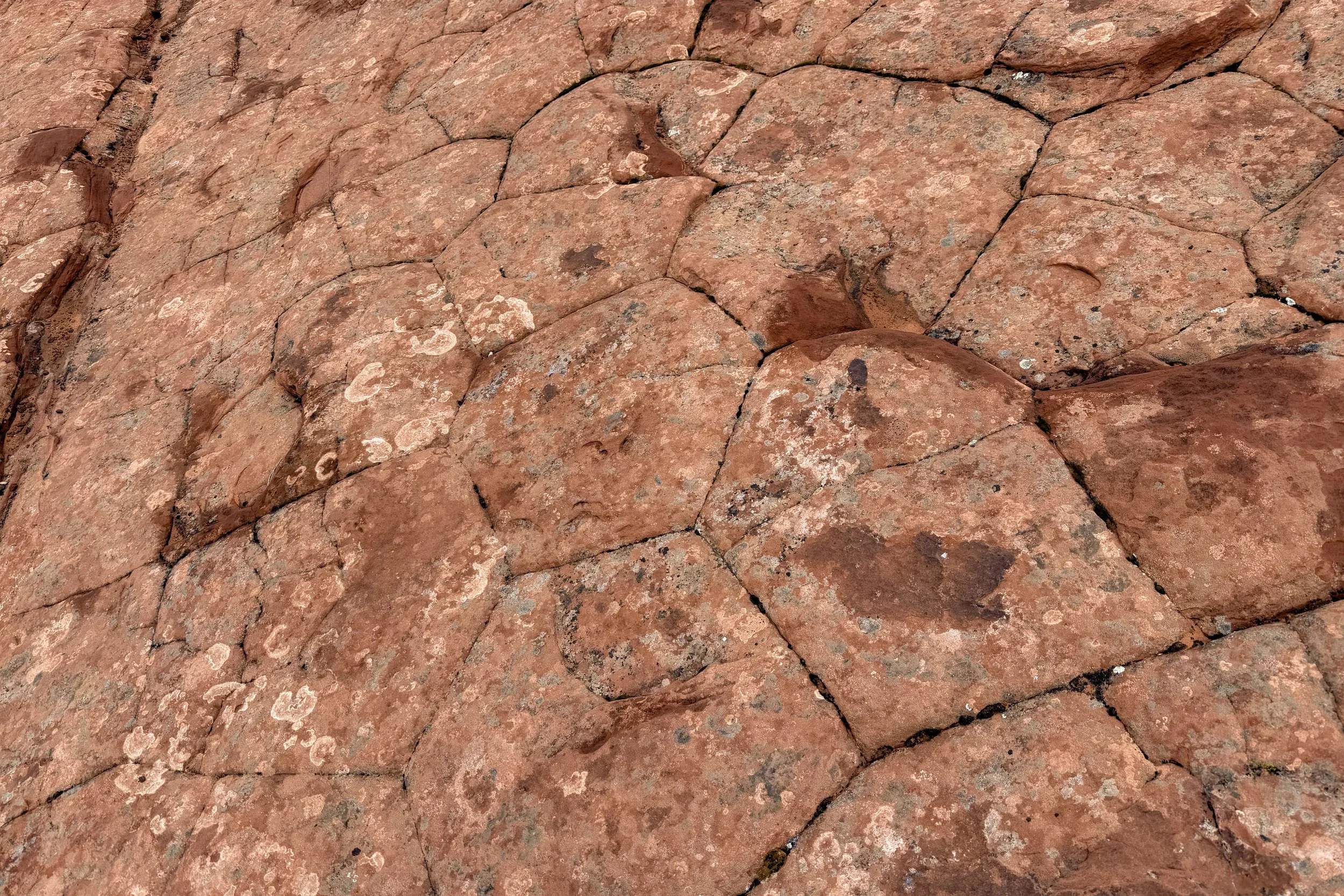 Petrified Dunes