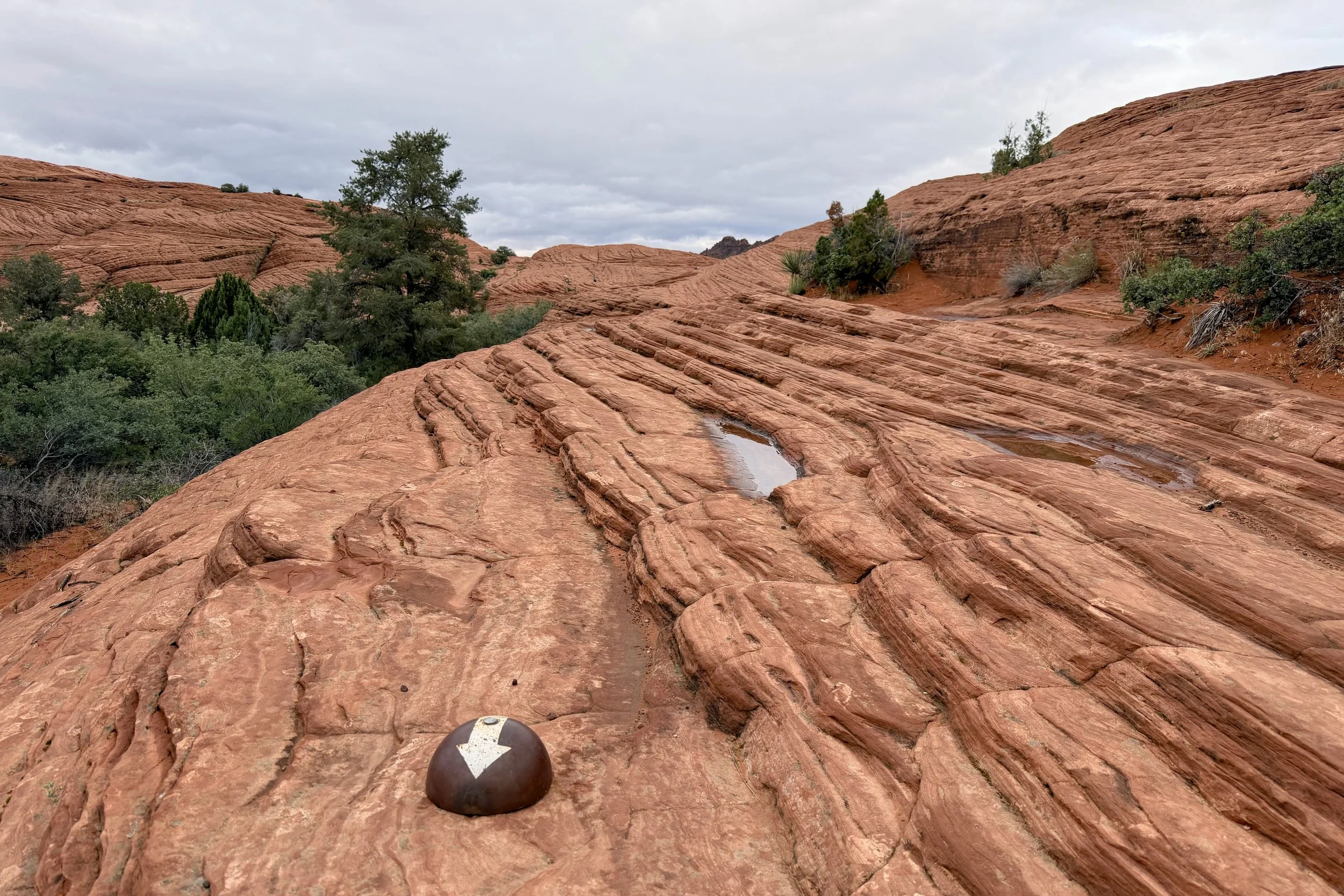 Petrified Dunes