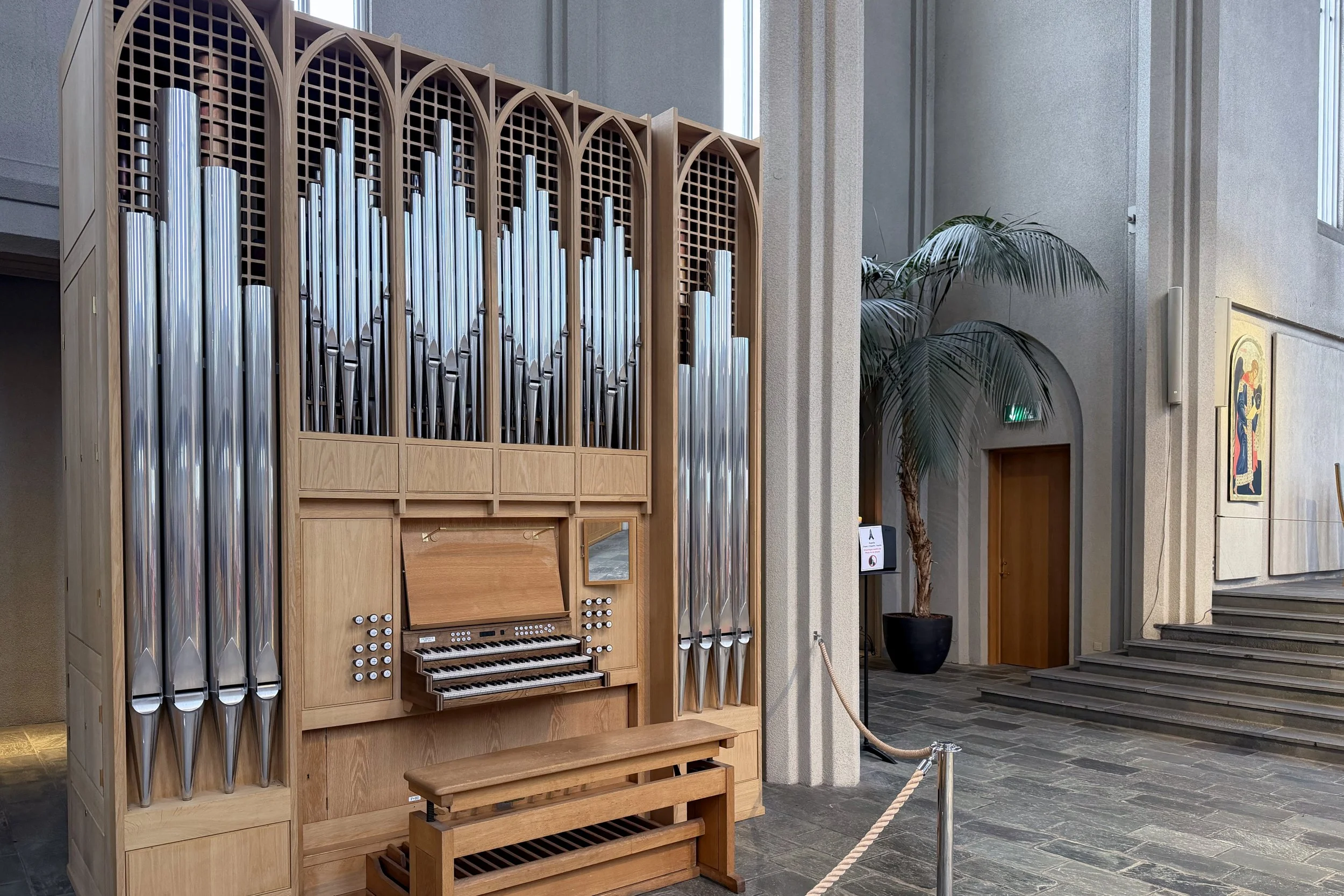 Smaller organ