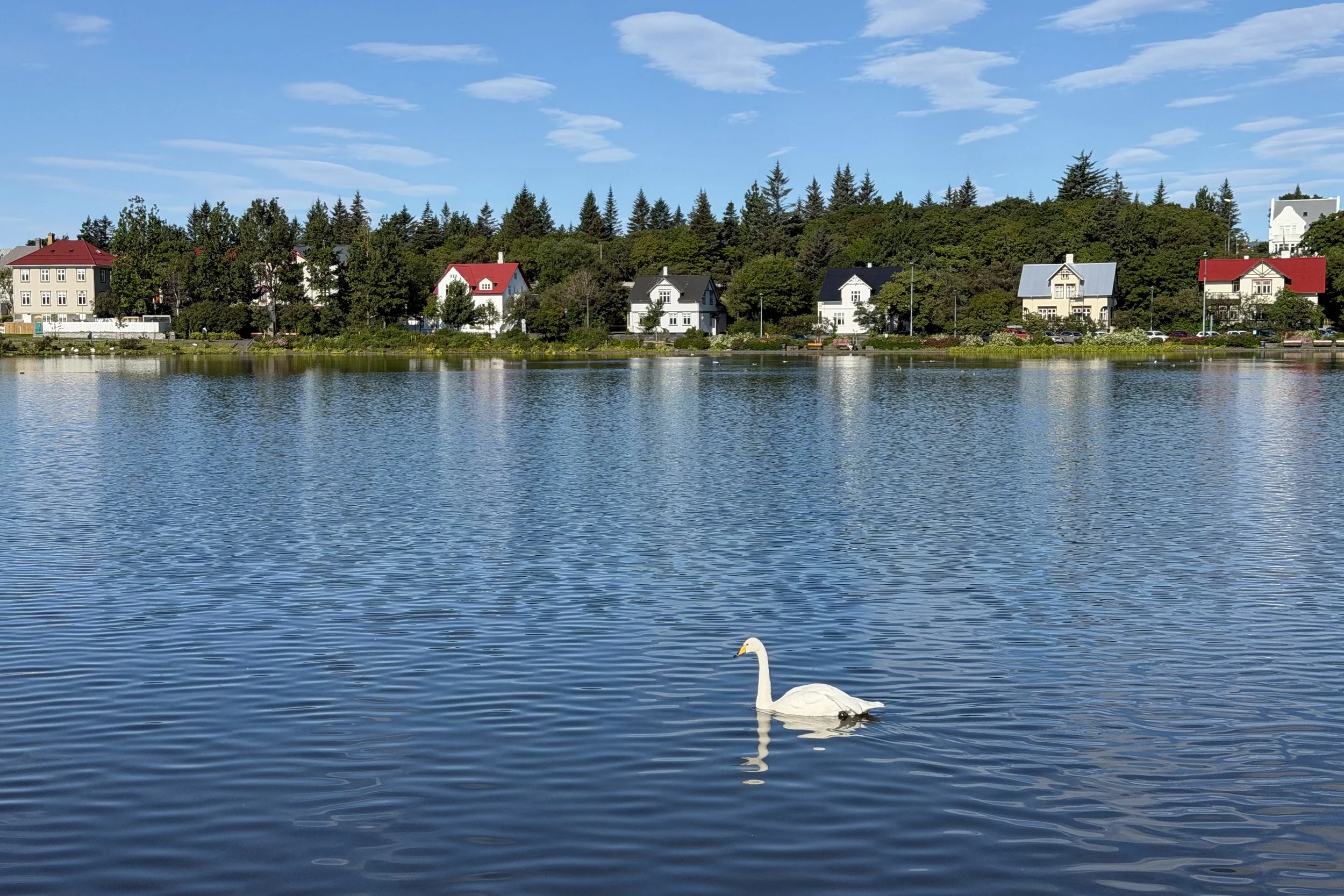 Tjörnin