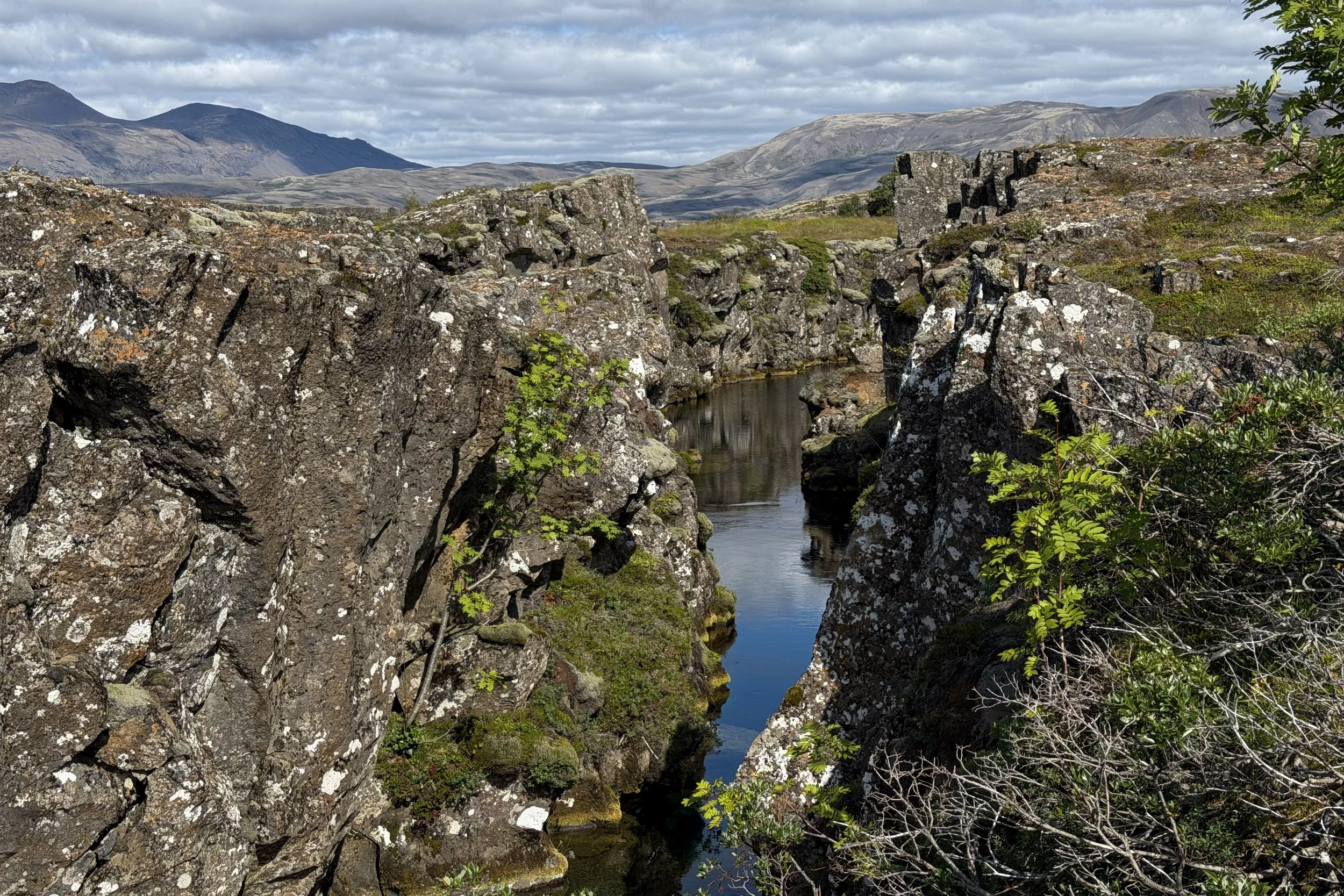 Fissure