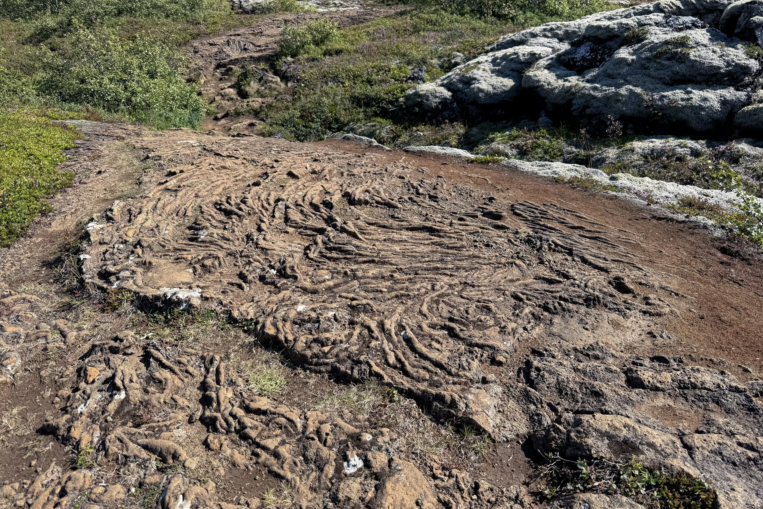 Lava flows in trail