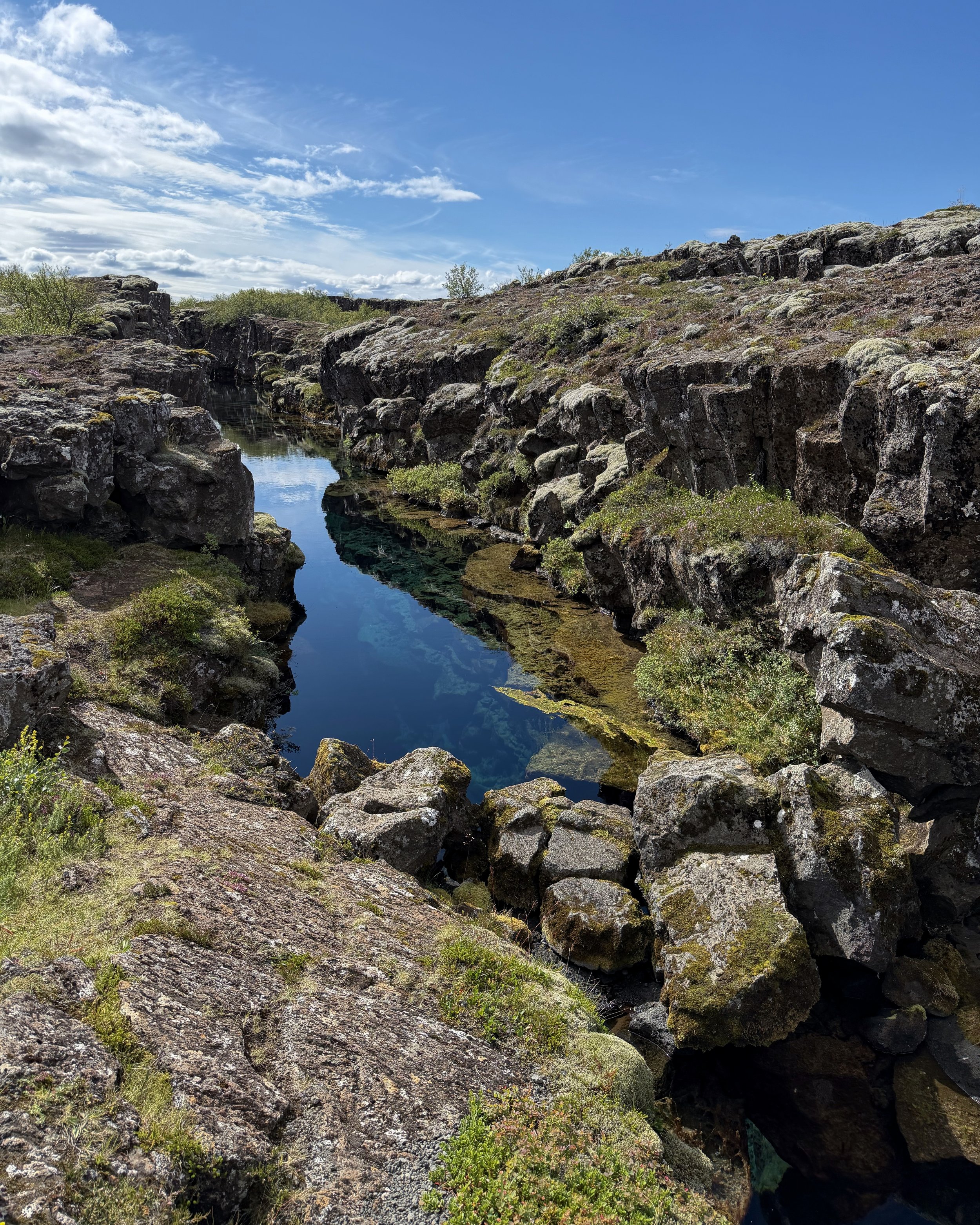 Þingvallahreppur, 11 Aug 2026