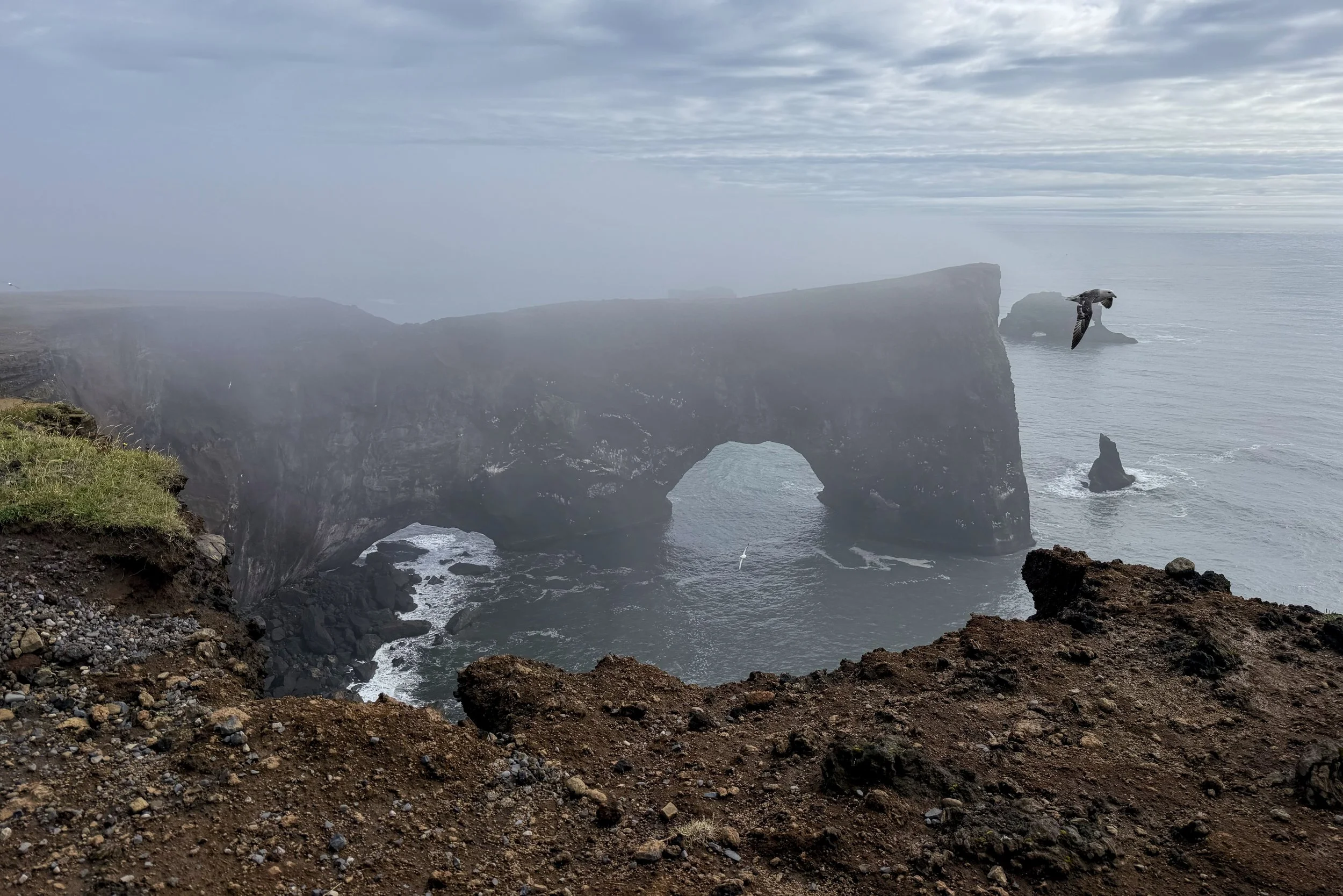 Dyrhólaey