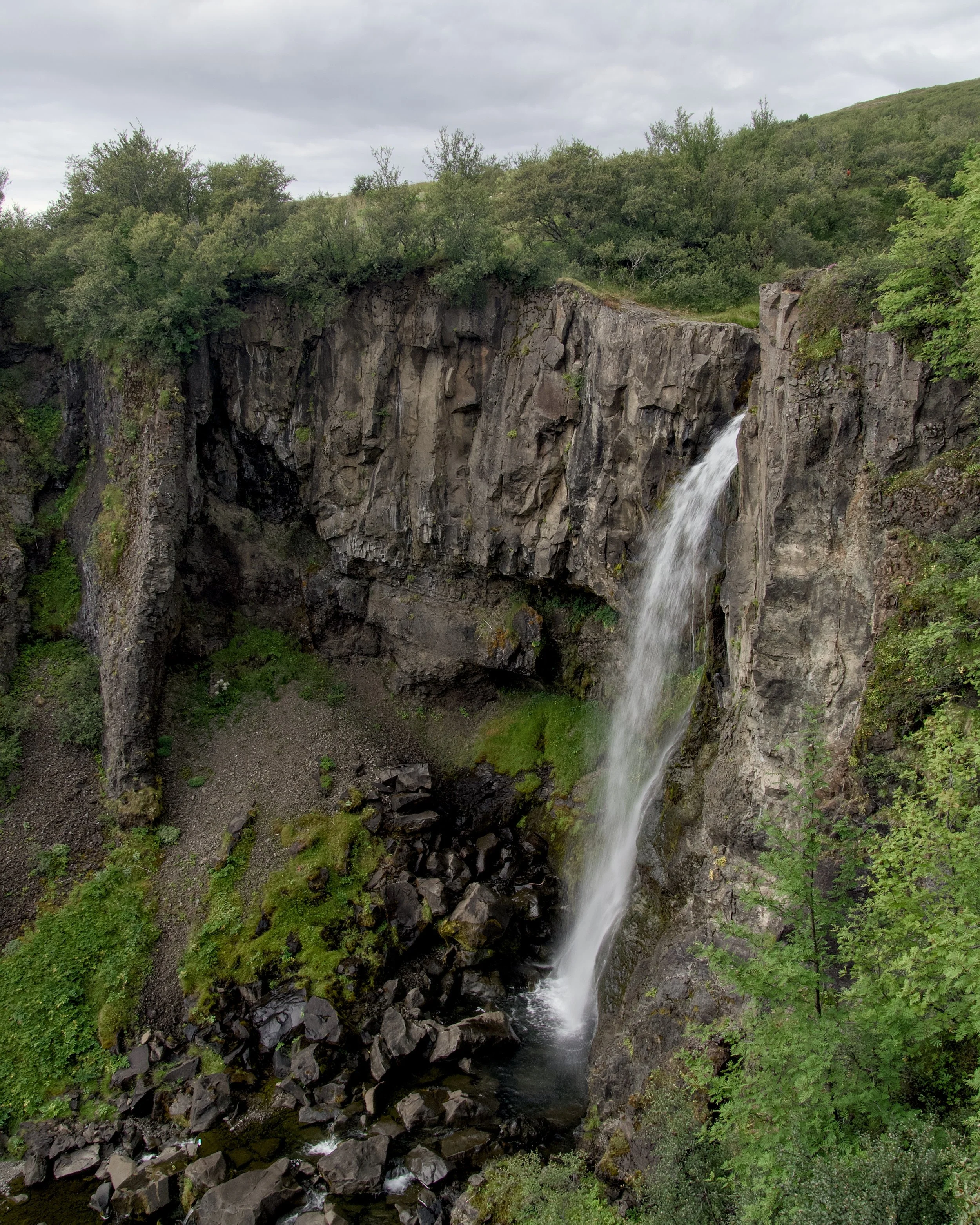 Svartifoss