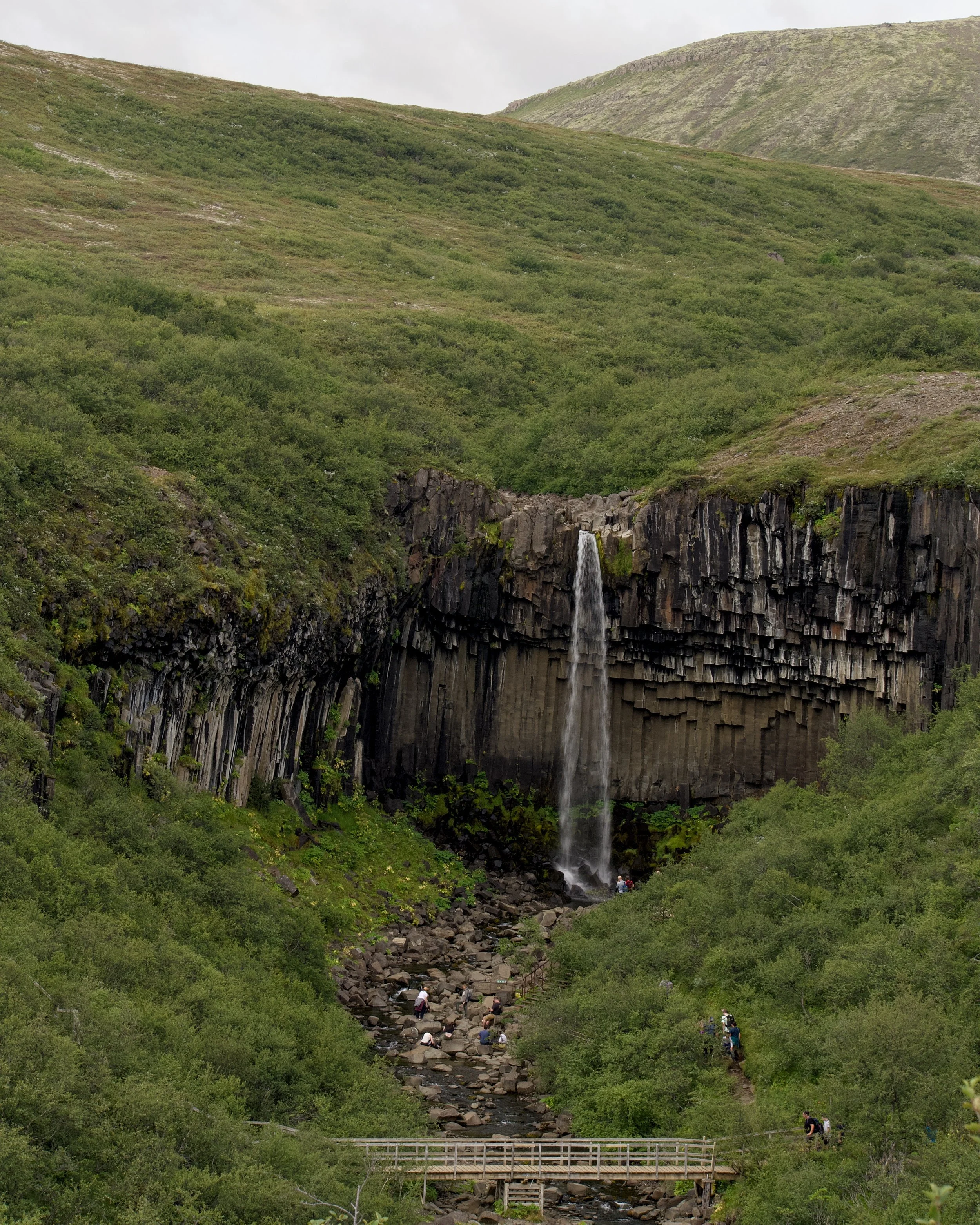 Svartifoss