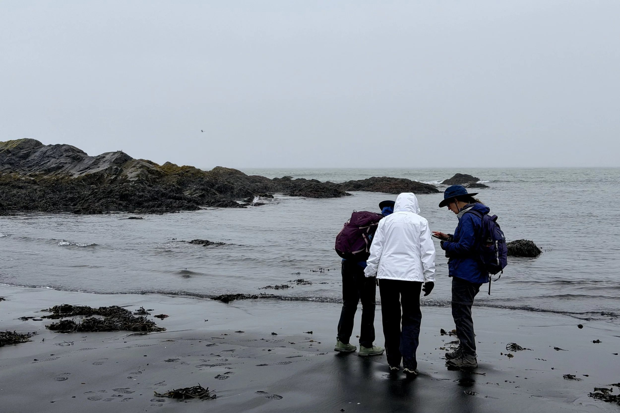 Exploring the tide pools