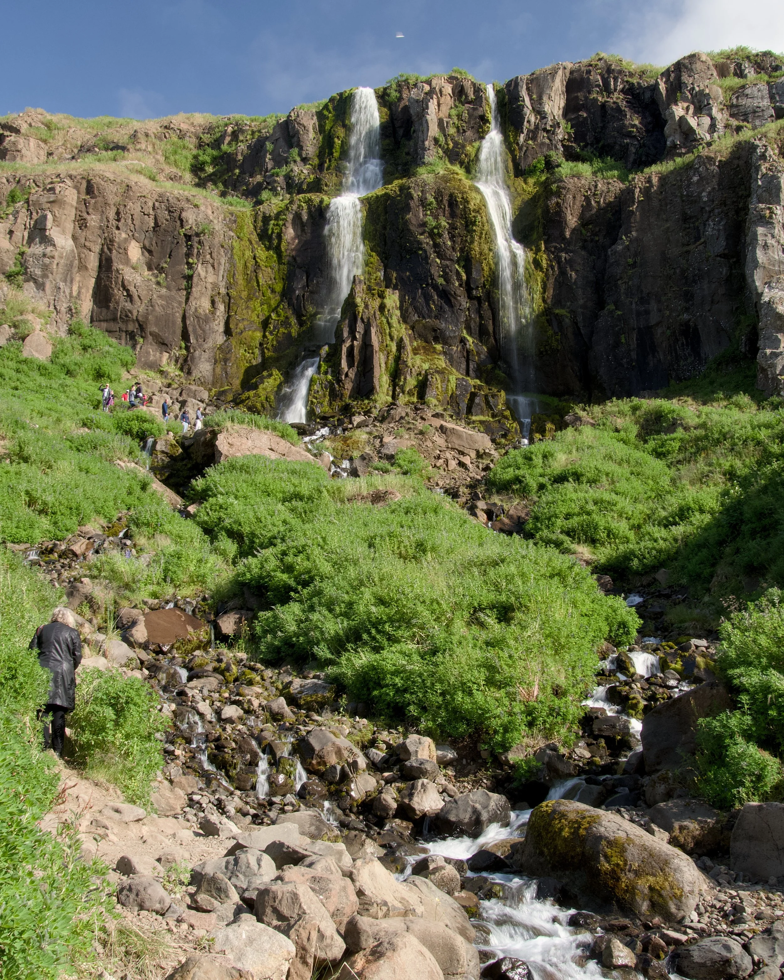 Path to Búðareyrarfoss