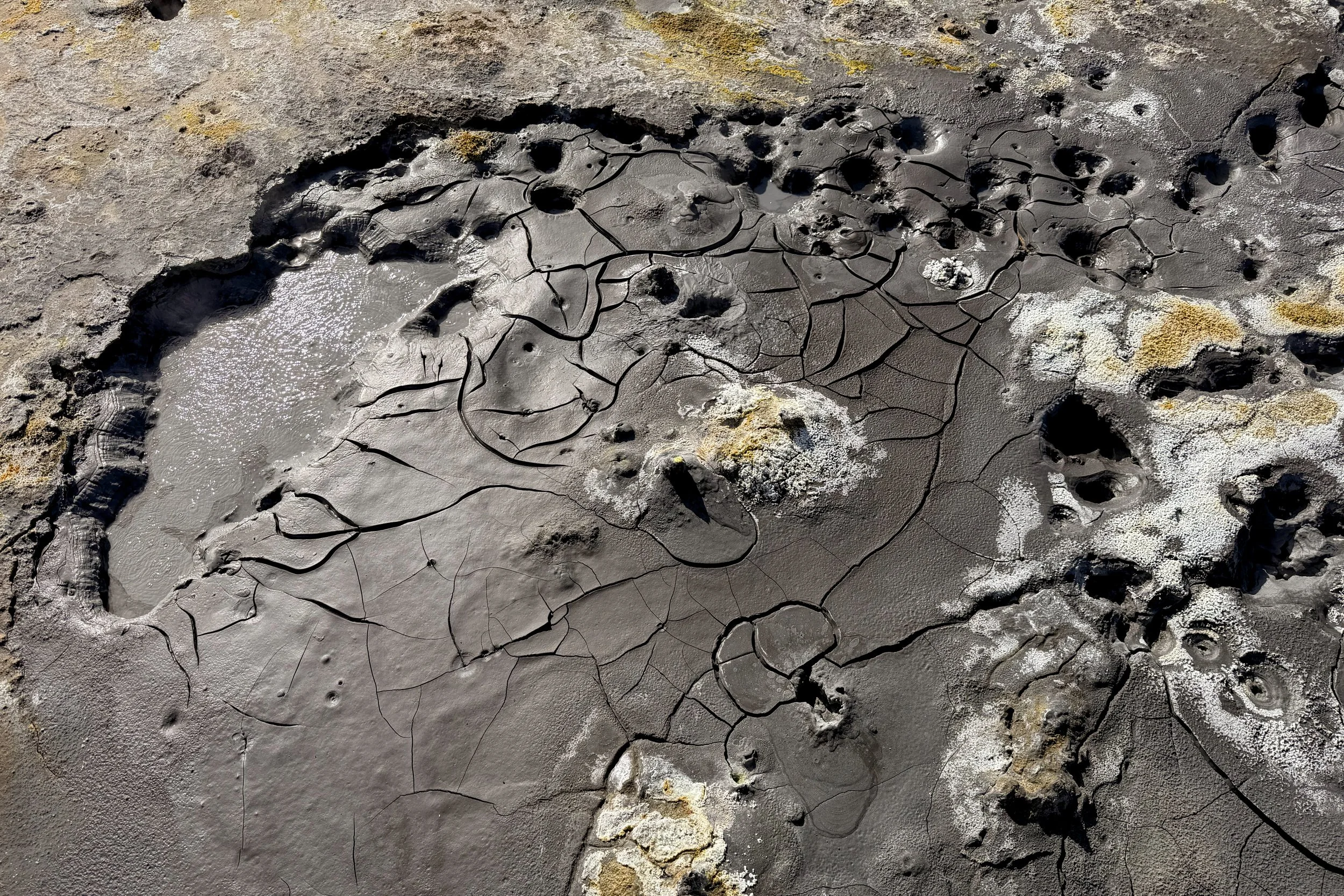 Patterns in mud pots