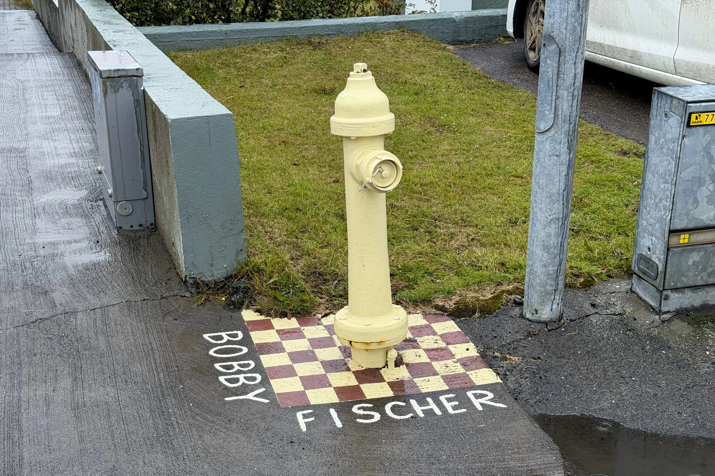 Bobby Fischer hydrant