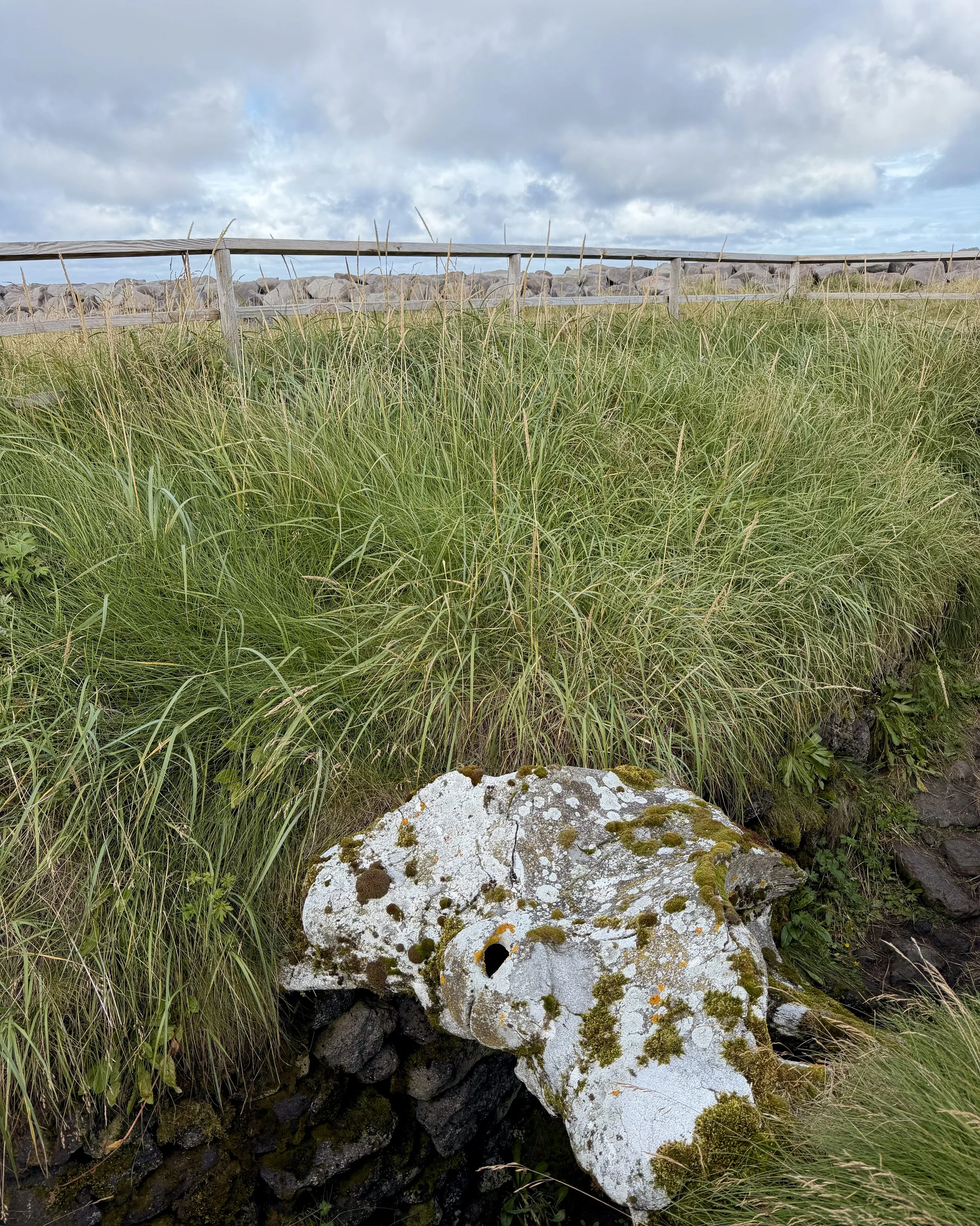 Írskrabrunnur (“Well of the Irish”)