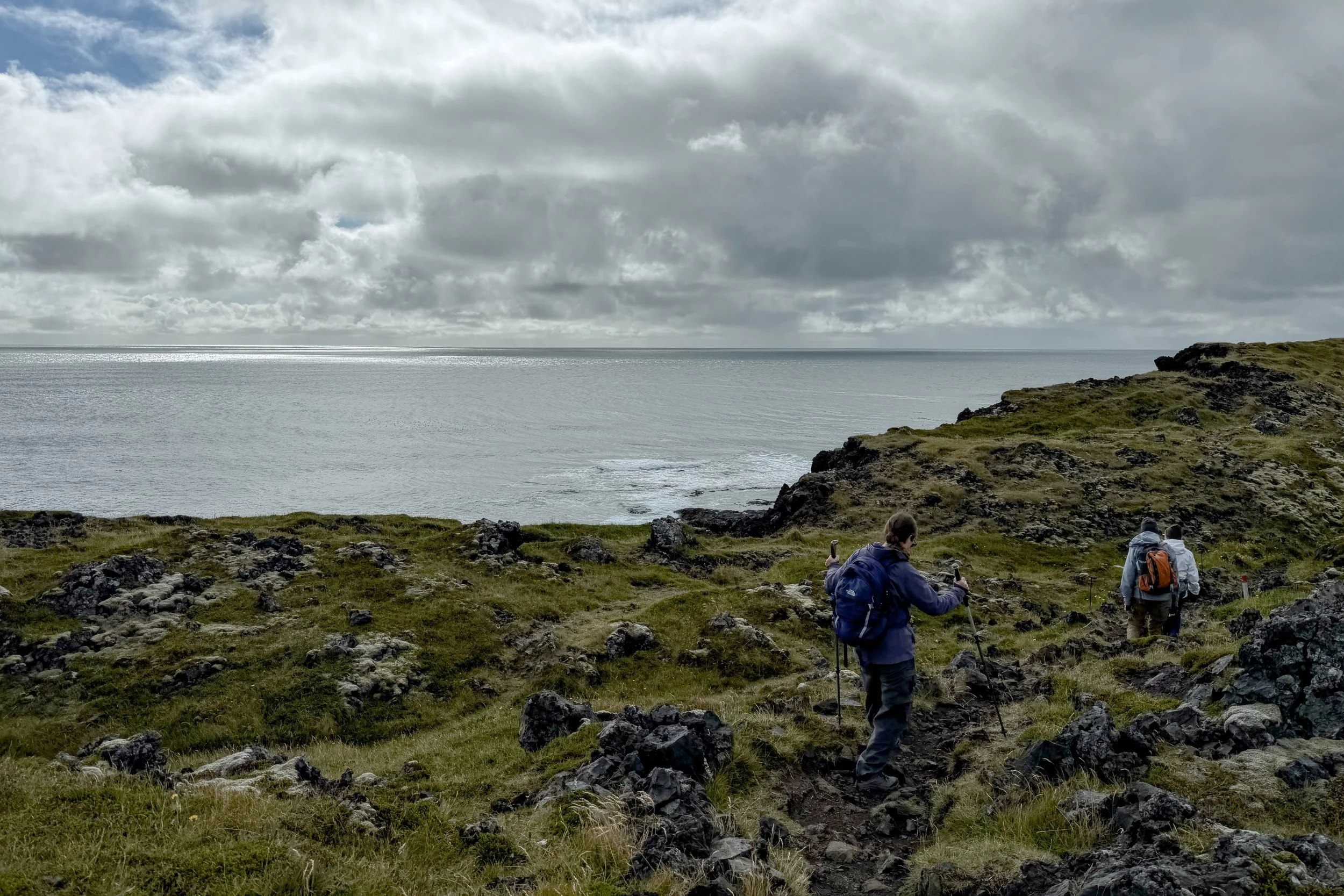 On the cliffs of Djúpalónssandur (black pebble beach)