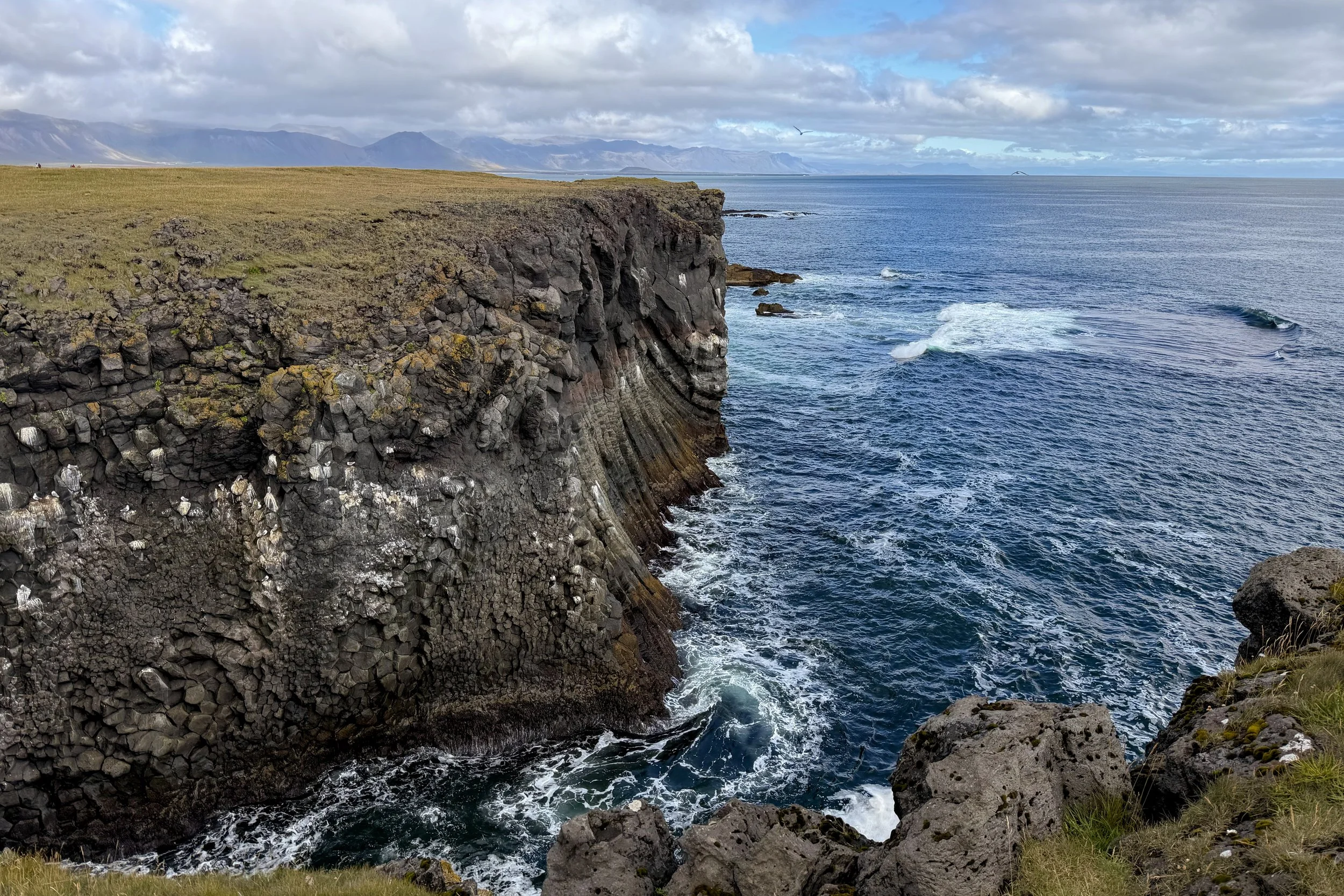 Arnarstapi Cliffs