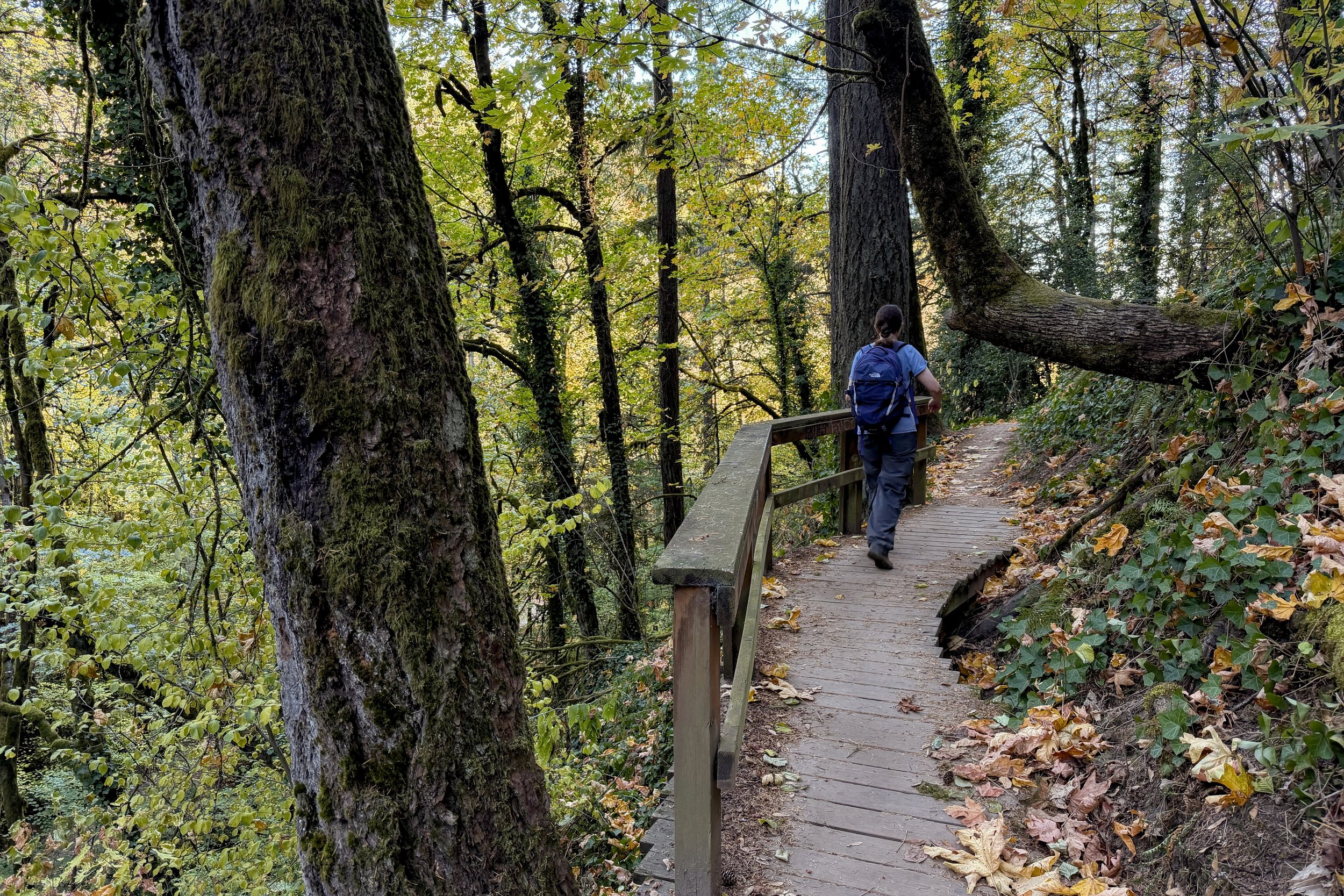 Marquam Nature Park