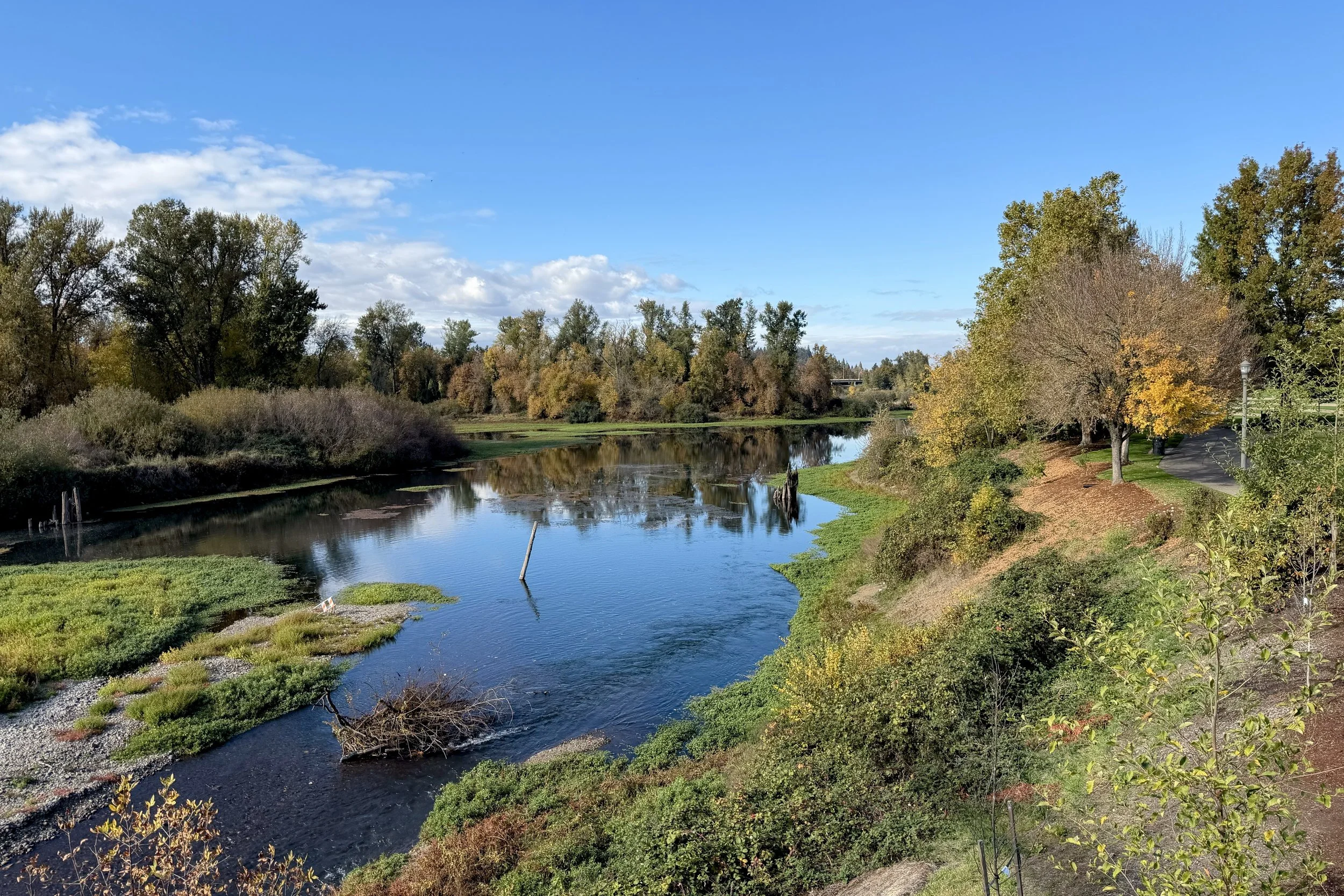 Willamette Slough