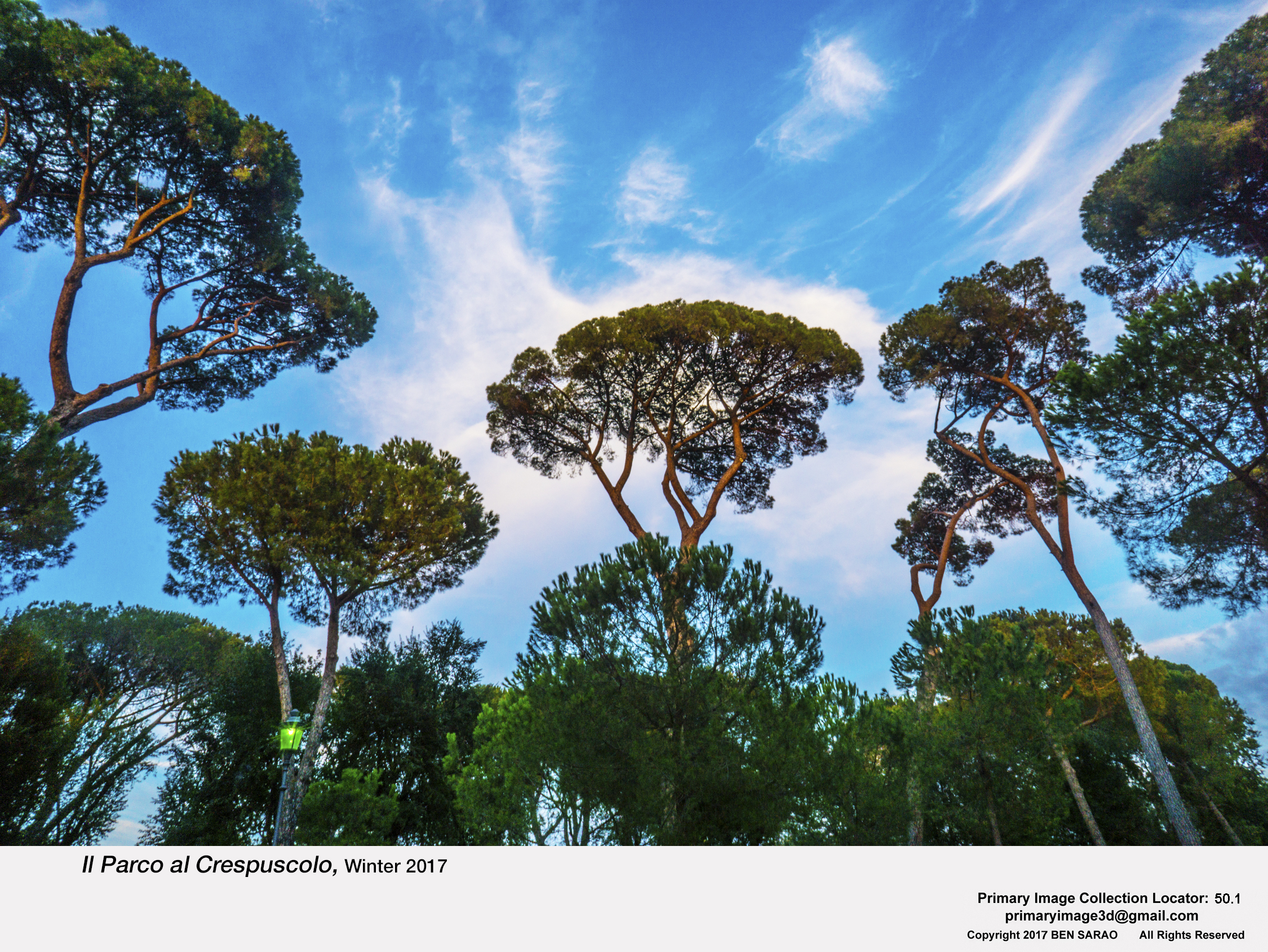 18.I. Trees at Dusk.jpg