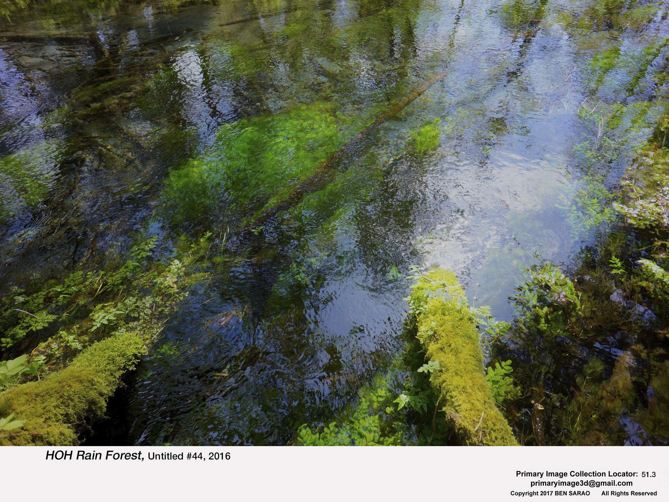 1. HOH Rain Forest 44.jpg