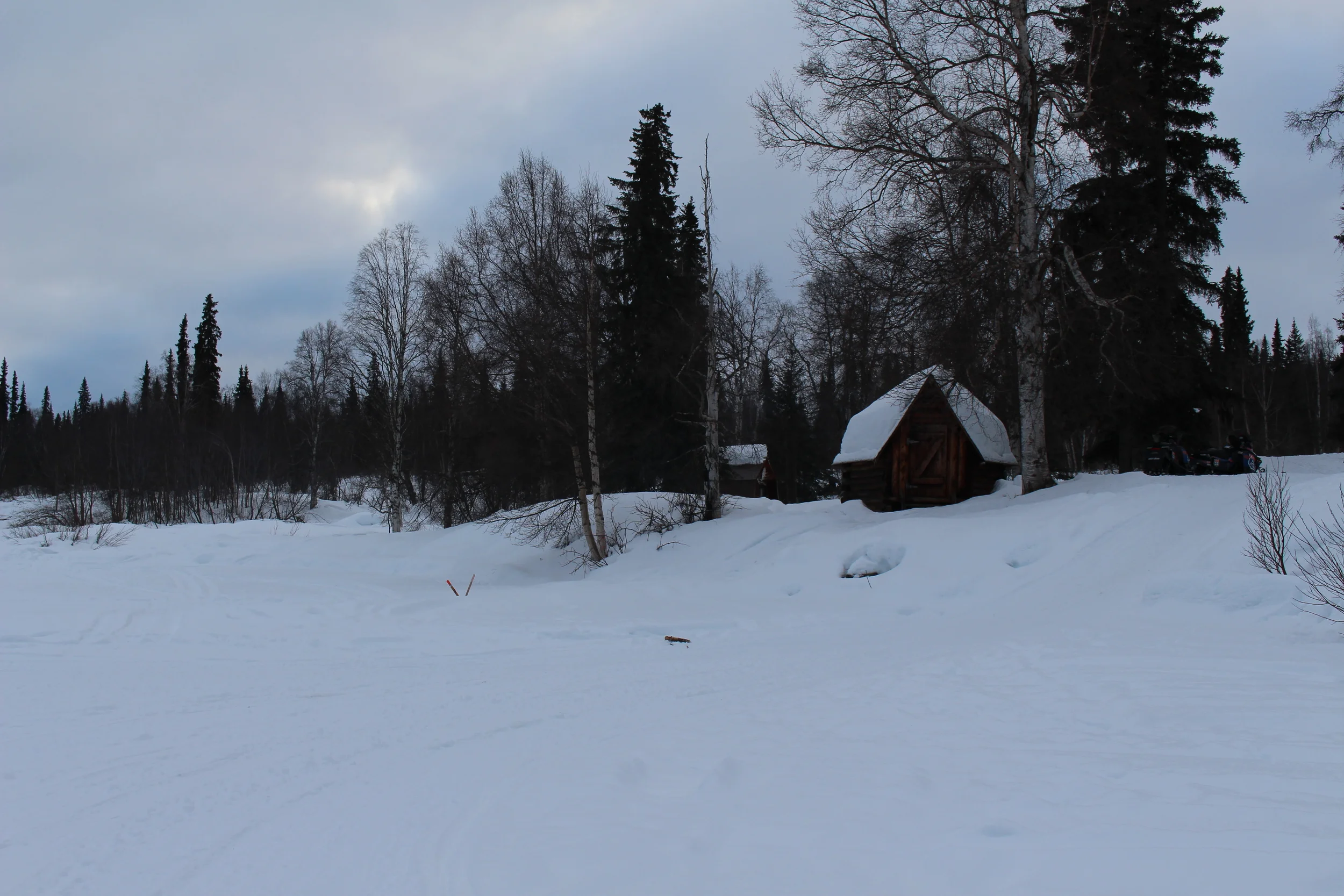 2013-01-31 14.32.06.jpg