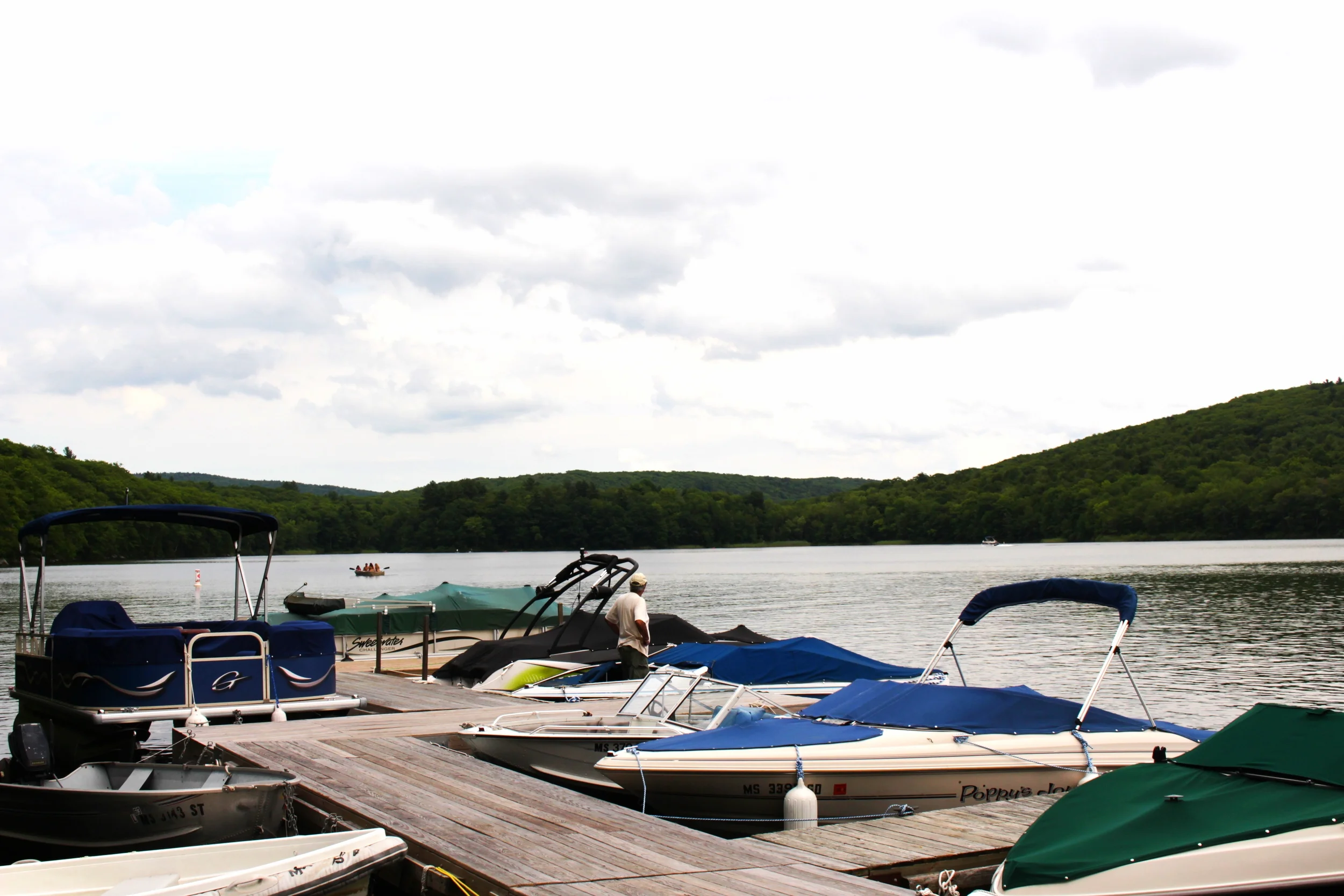To boat or not to boat, that is the question...