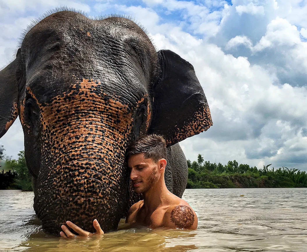 Elephant Thailand-2.jpg