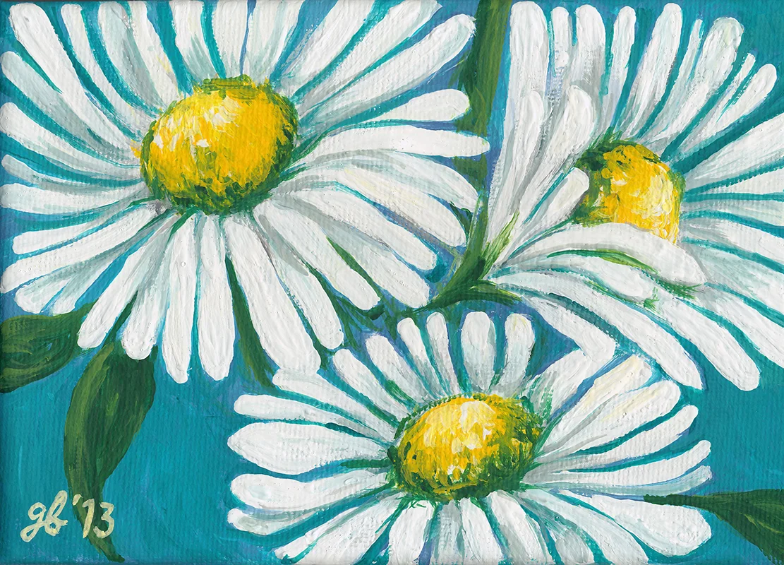 daisies.jpg