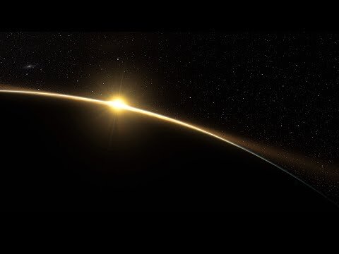 Year in Search 2019